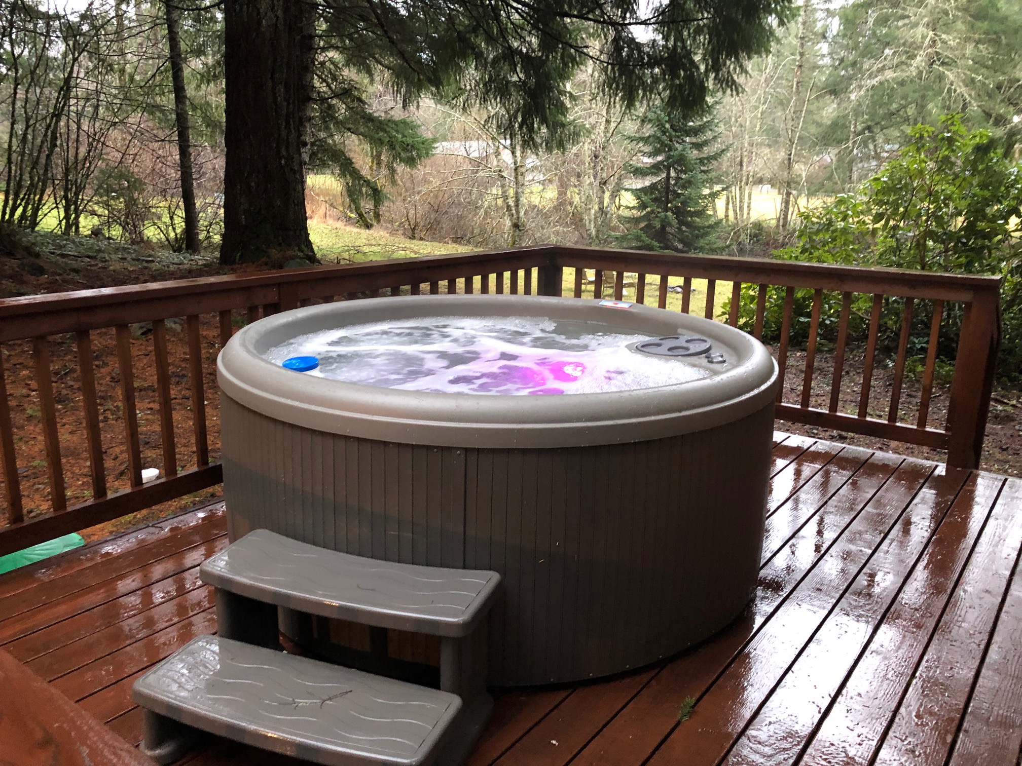 Secluded Mt. Rainier Cabin With New Hot Tub Cabins for Rent in