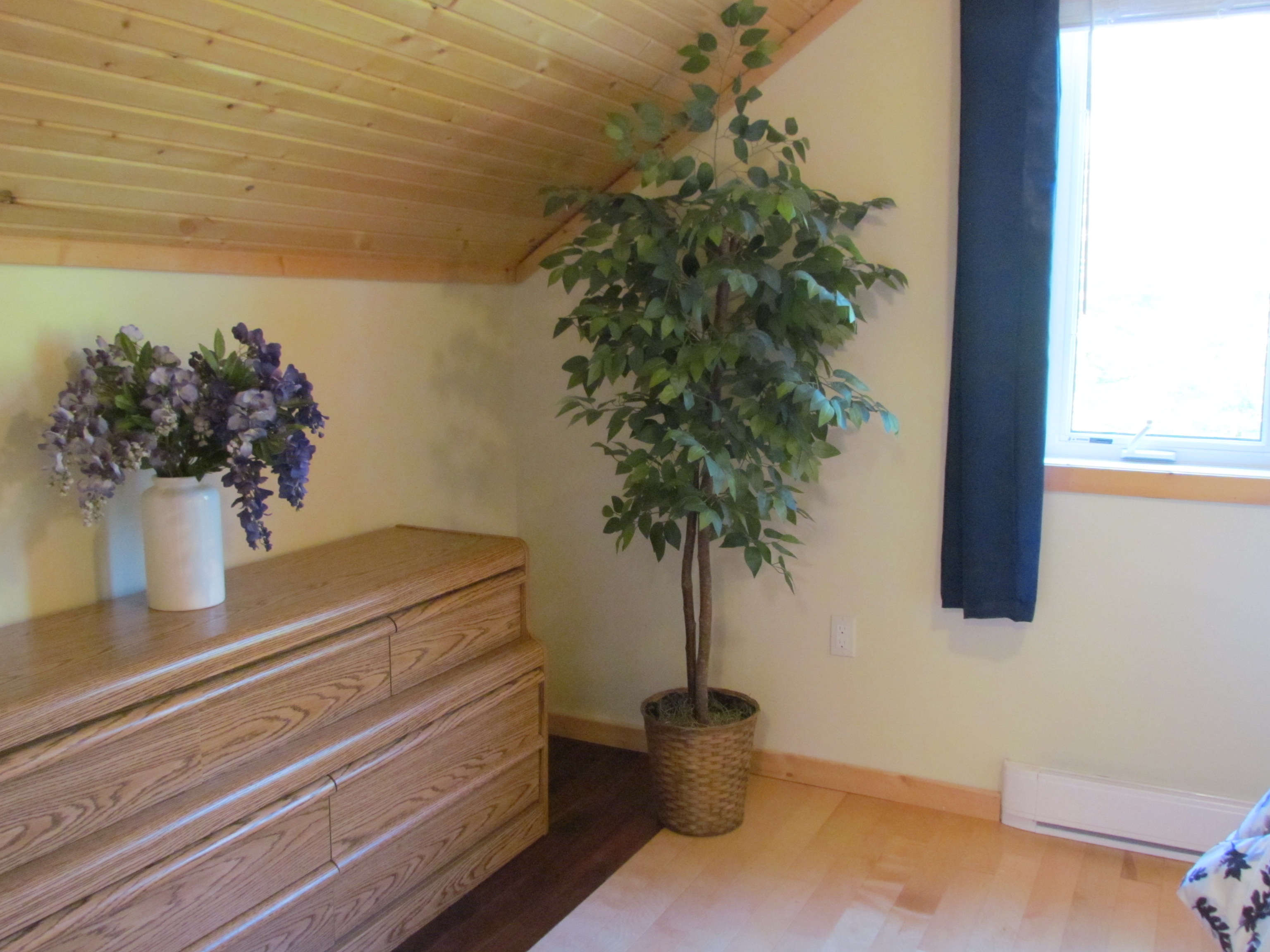 A Loft on the Bruce