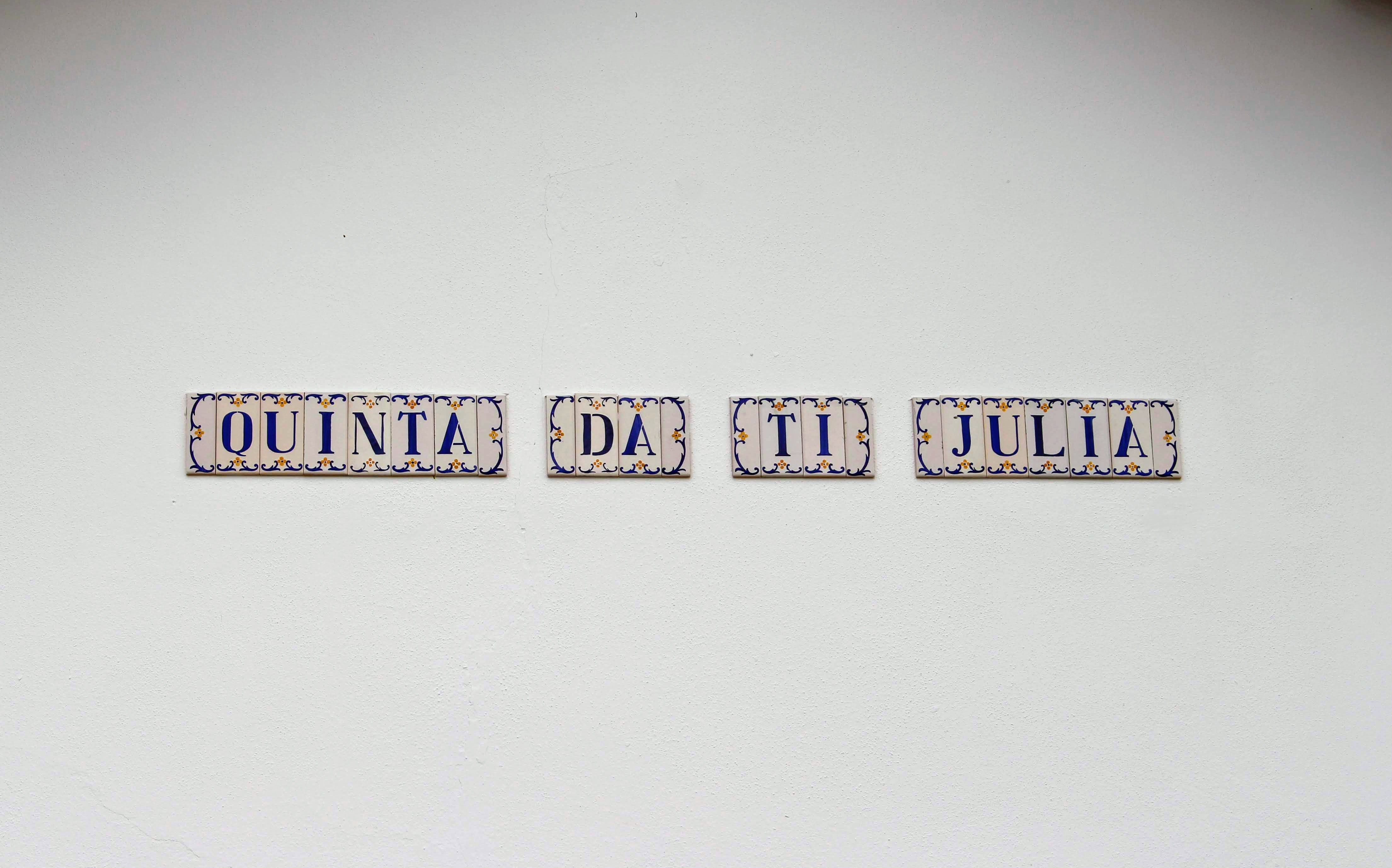 Qta da Ti Júlia Turismo Rural (House T1+1)