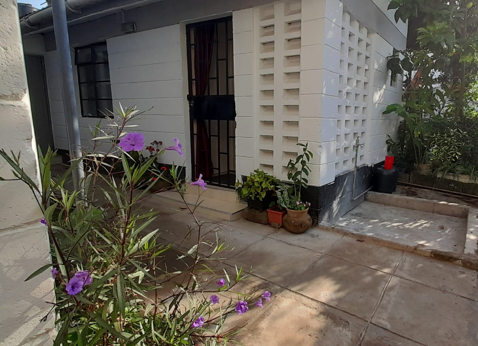 Cute studio apartment in the heart of Milimani