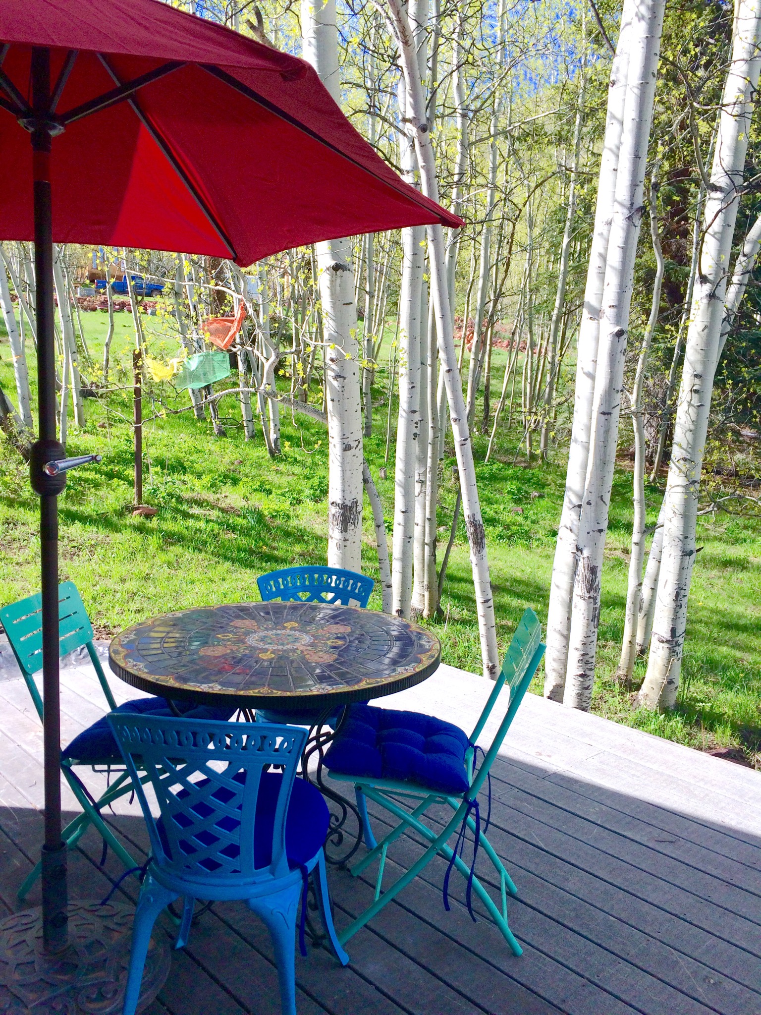 RUEDI CREEK GEM! (Ruedi Reservoir BASALT) Guesthouses for Rent in