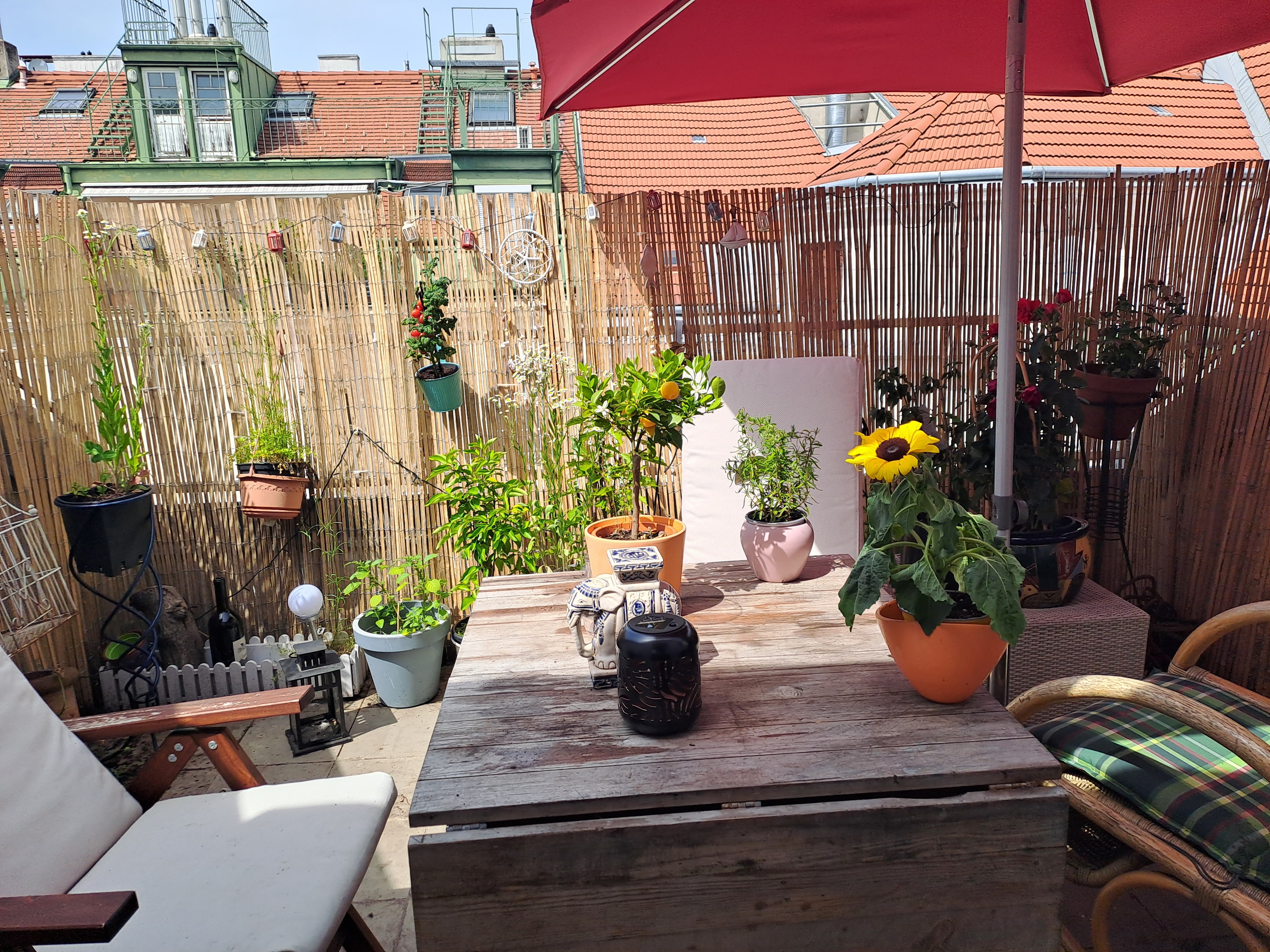 Cozy room in a central rooftop apartment