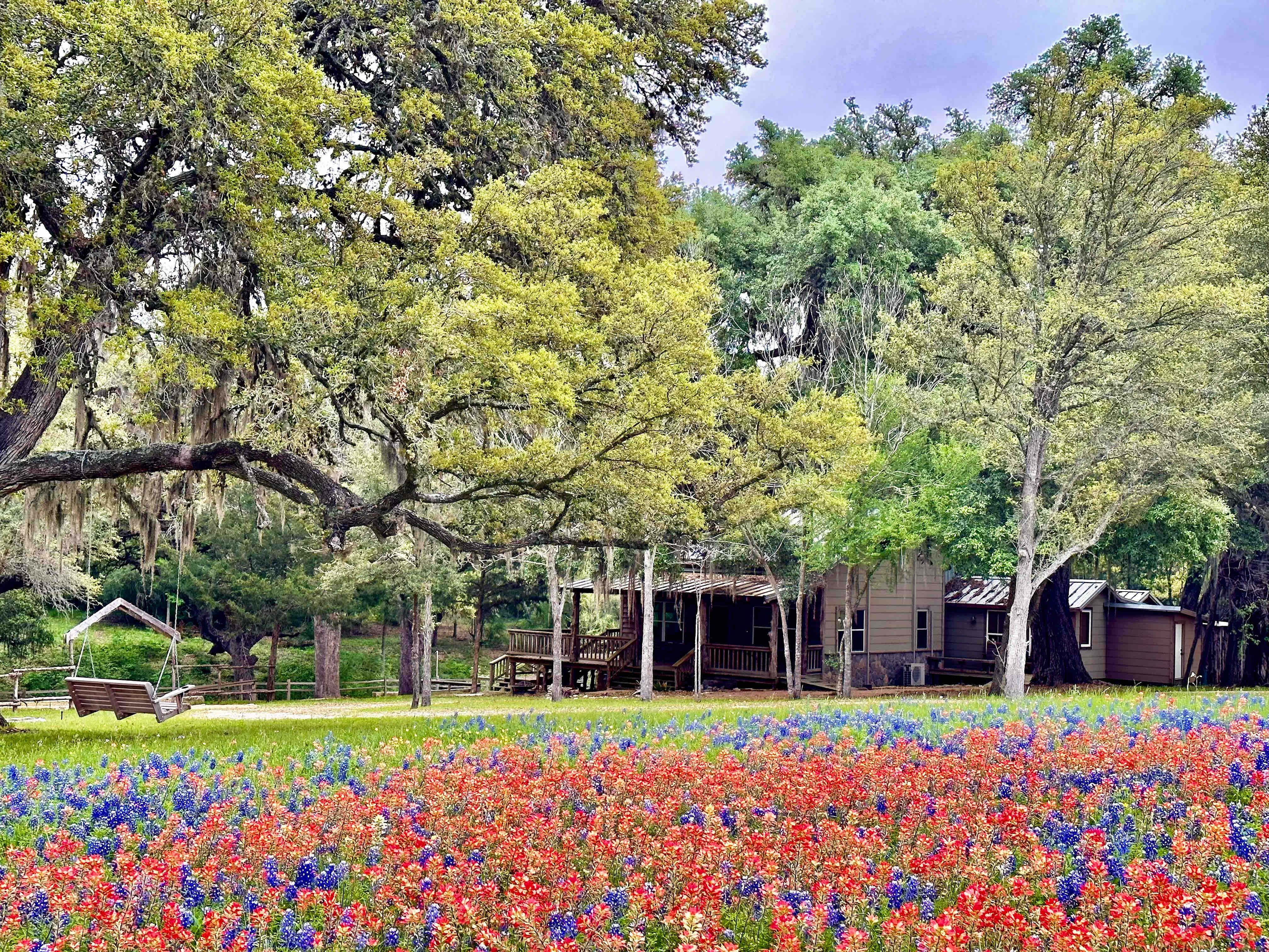 Quaint cabin + suite in beautiful Brenham, TX