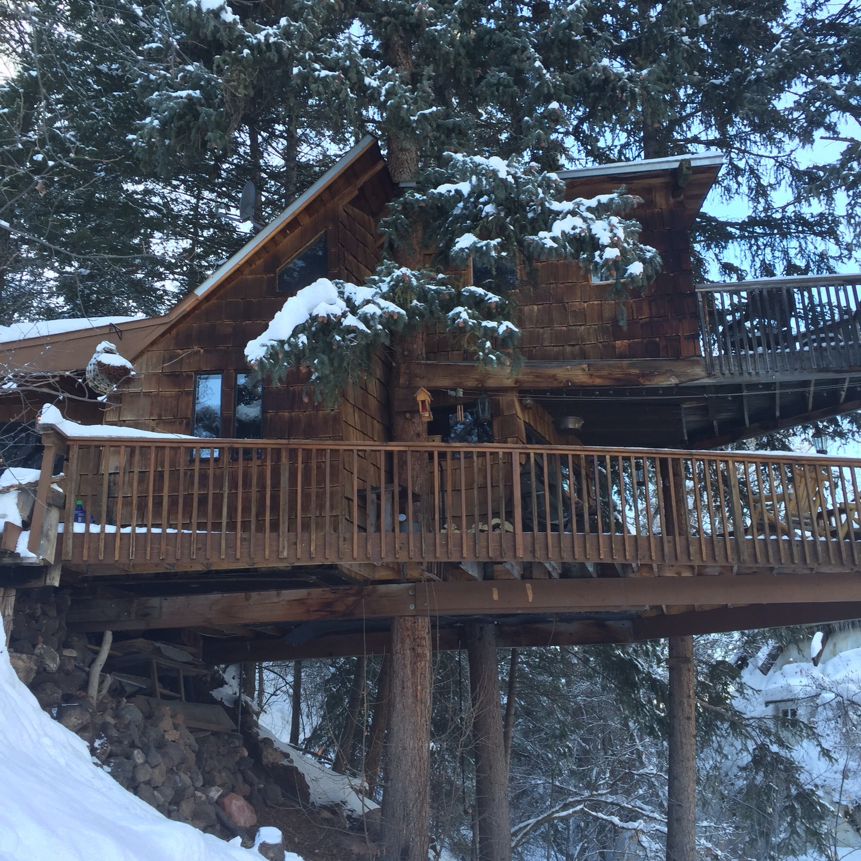 Rocky Mountain Treehouse - Cabins for Rent in Carbondale, Colorado ...