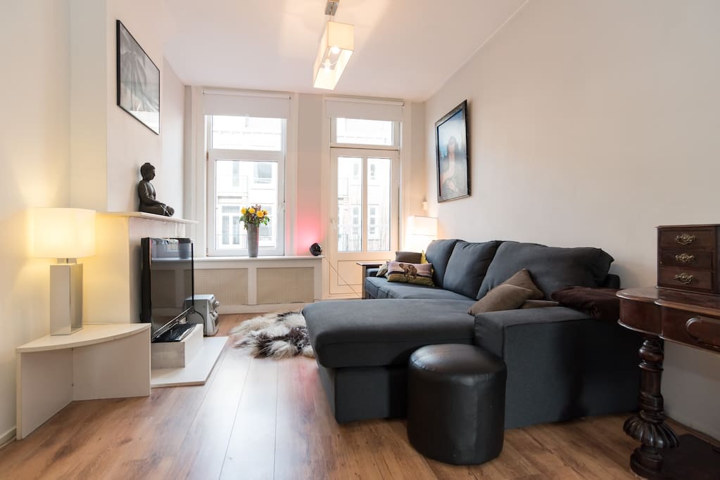 Central Vondelpark Apartment — Amsterdam stay