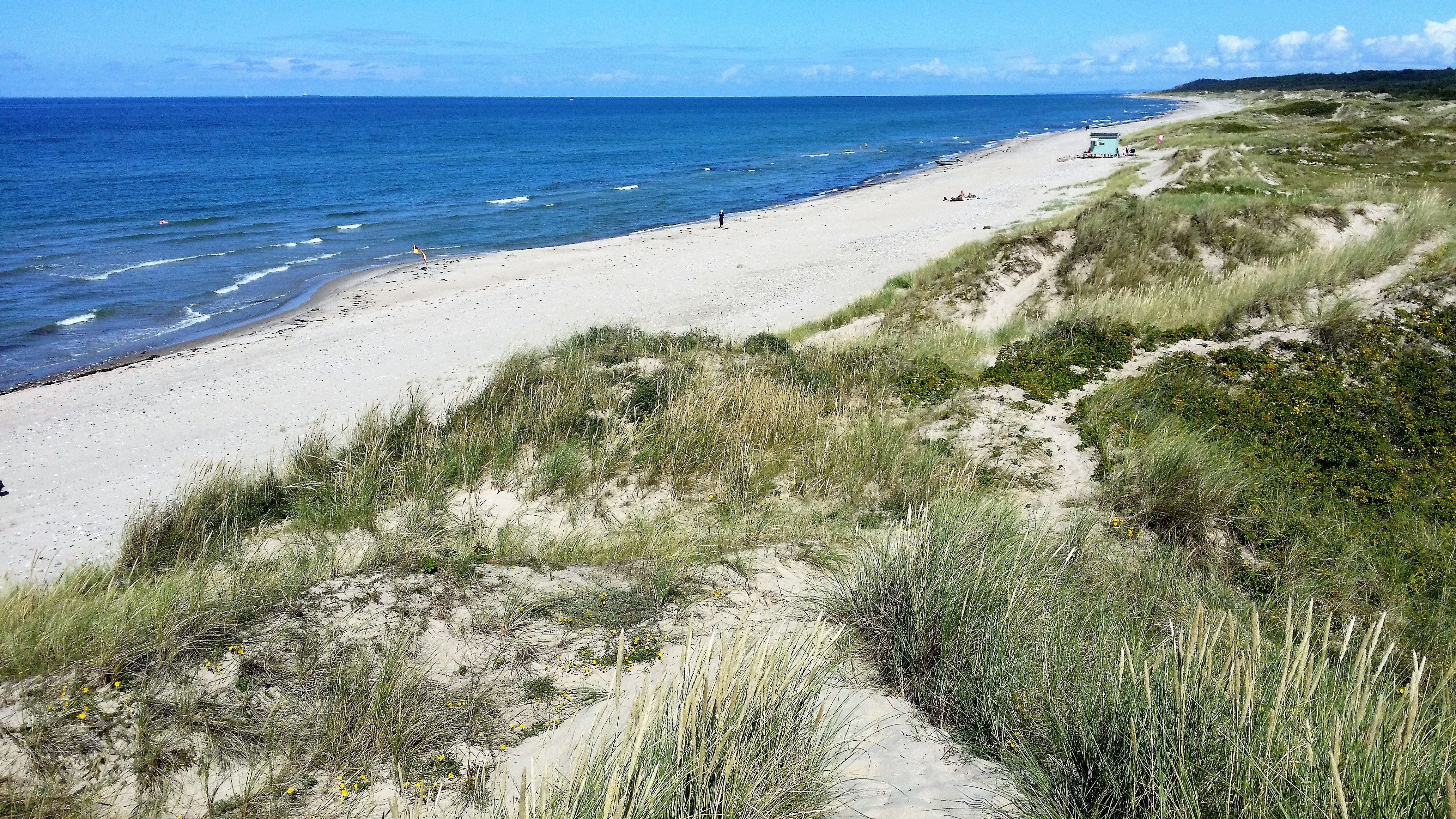 Amazing beach an hour from Copenhagen