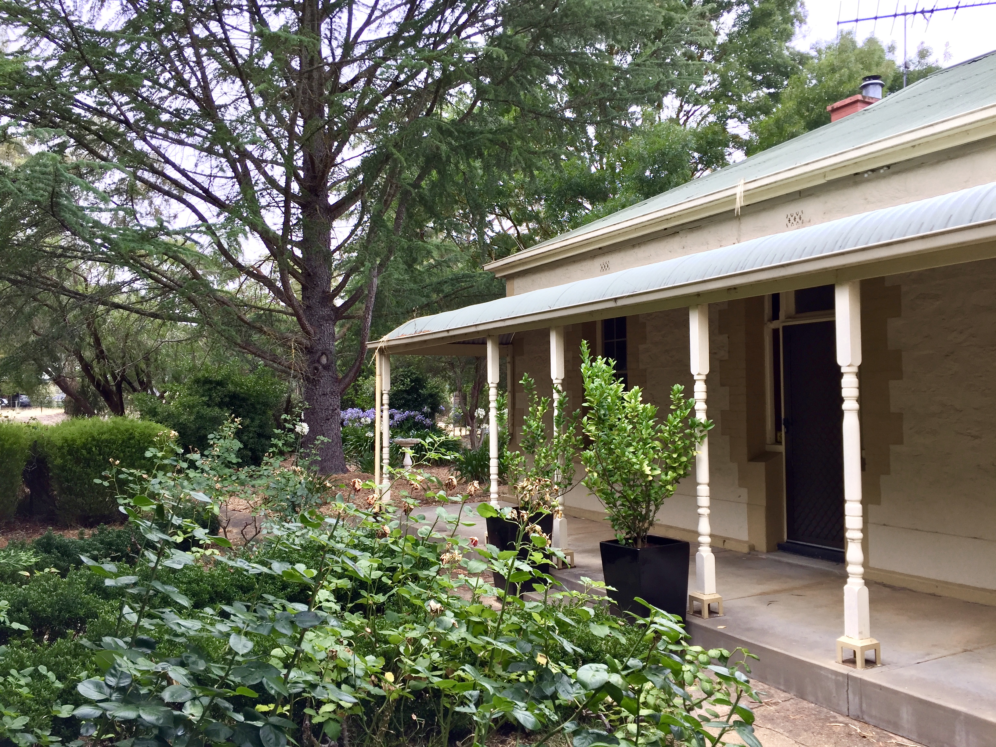 Linfield Cottage in Williamstown, Barossa Valley
