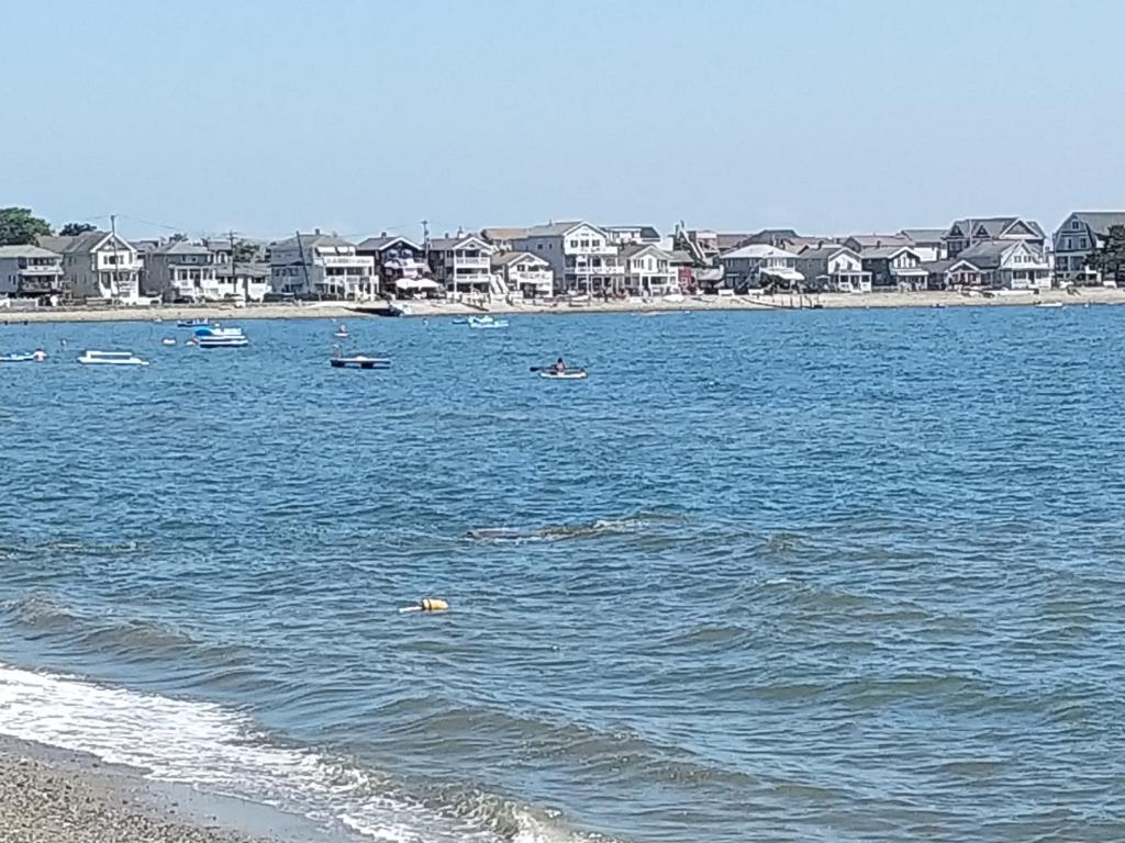 Beachfront getaway in Milford Houses for Rent in Milford, Connecticut