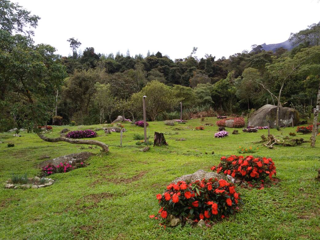 Spring Garden Twin Room Kundasang Mt Kinabalu Cabins For Rent In Kundasang Sabah Malaysia