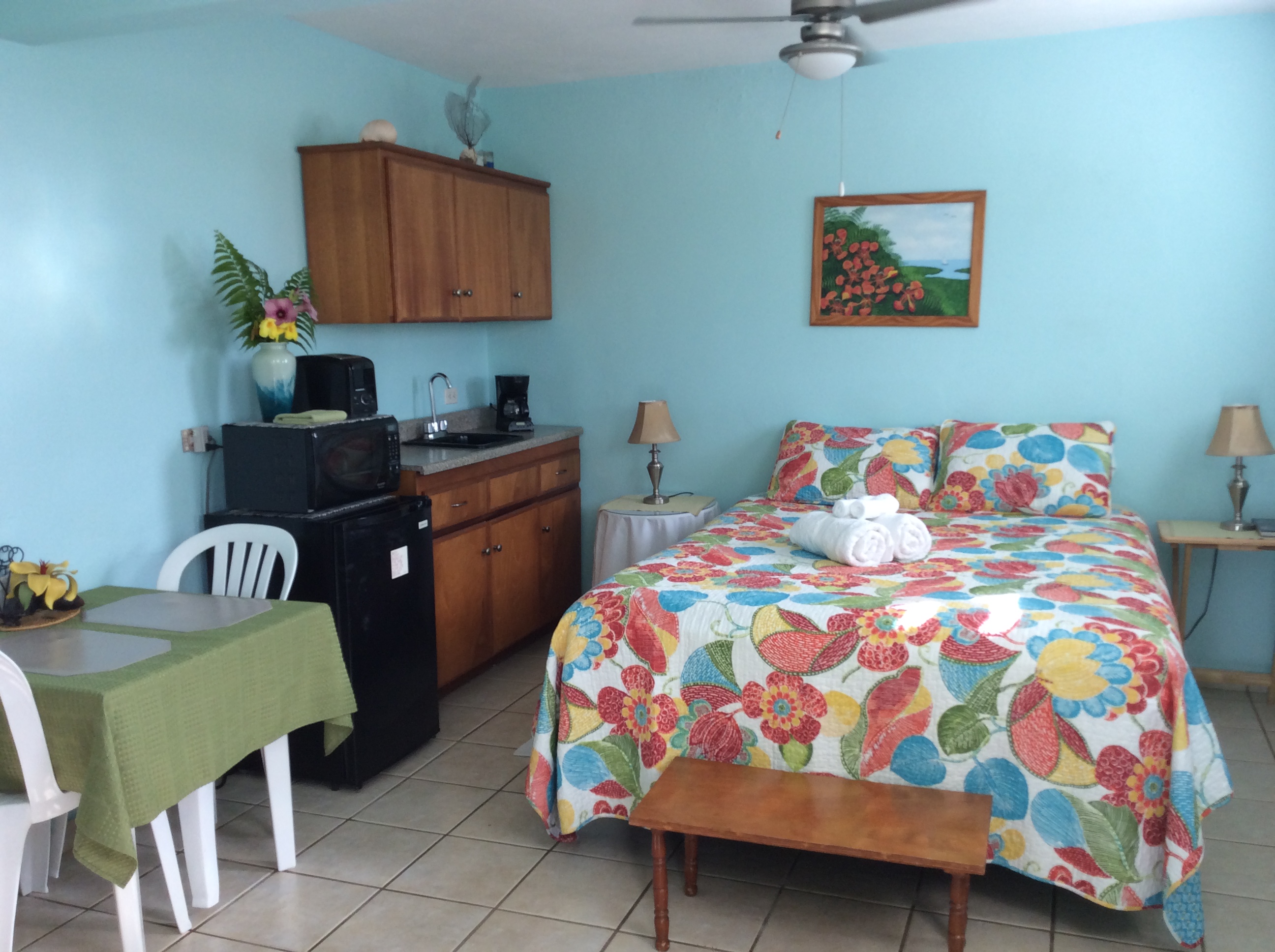 Casa de Kathy Studio Apt -Near Beach/BioBay