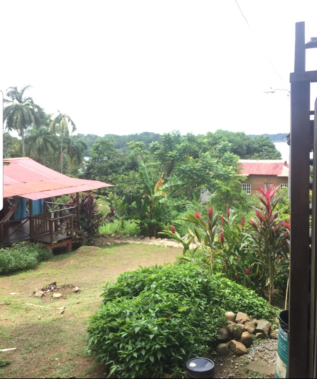 Jungle Tree House Bocas Del Toro Margaret Wiegel