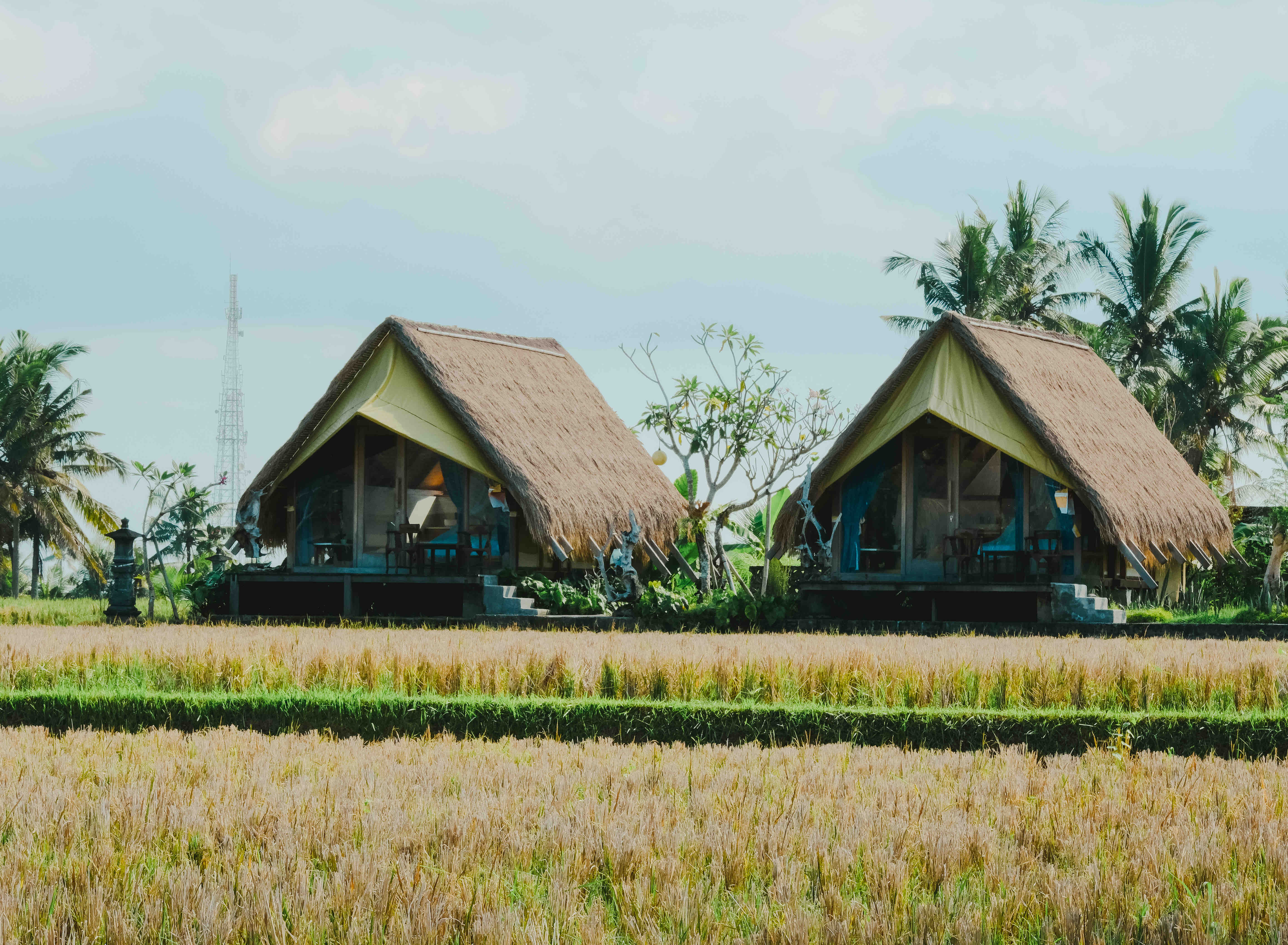 Cabin Lumbung - beautiful ricefield view!