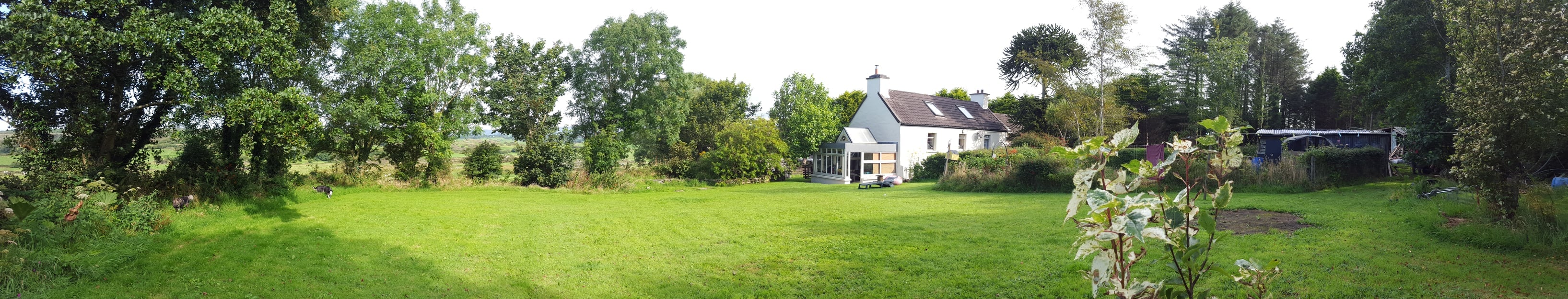 (3) Gay Online Dating Ireland -Get connected now-Gay Personals-Meet guys Im a good looking guy who thoroughly enjoys orally servicing mature married men to Meet in Skibbereen (Lough Hyne) at about 3pm and well go from there. Gay Online Dating Ireland Personals - Vivastreet (3)