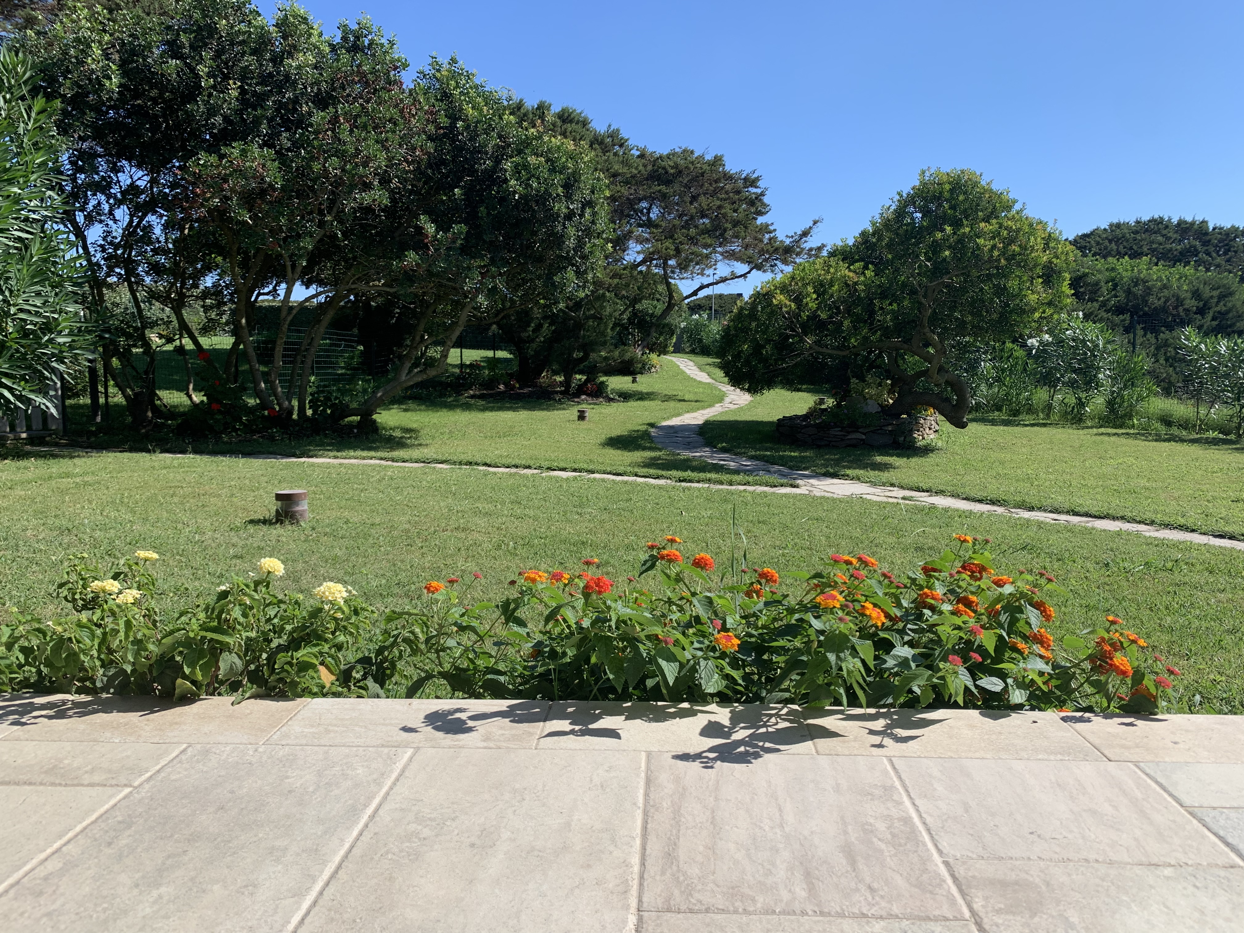 The garden on the Pelosa