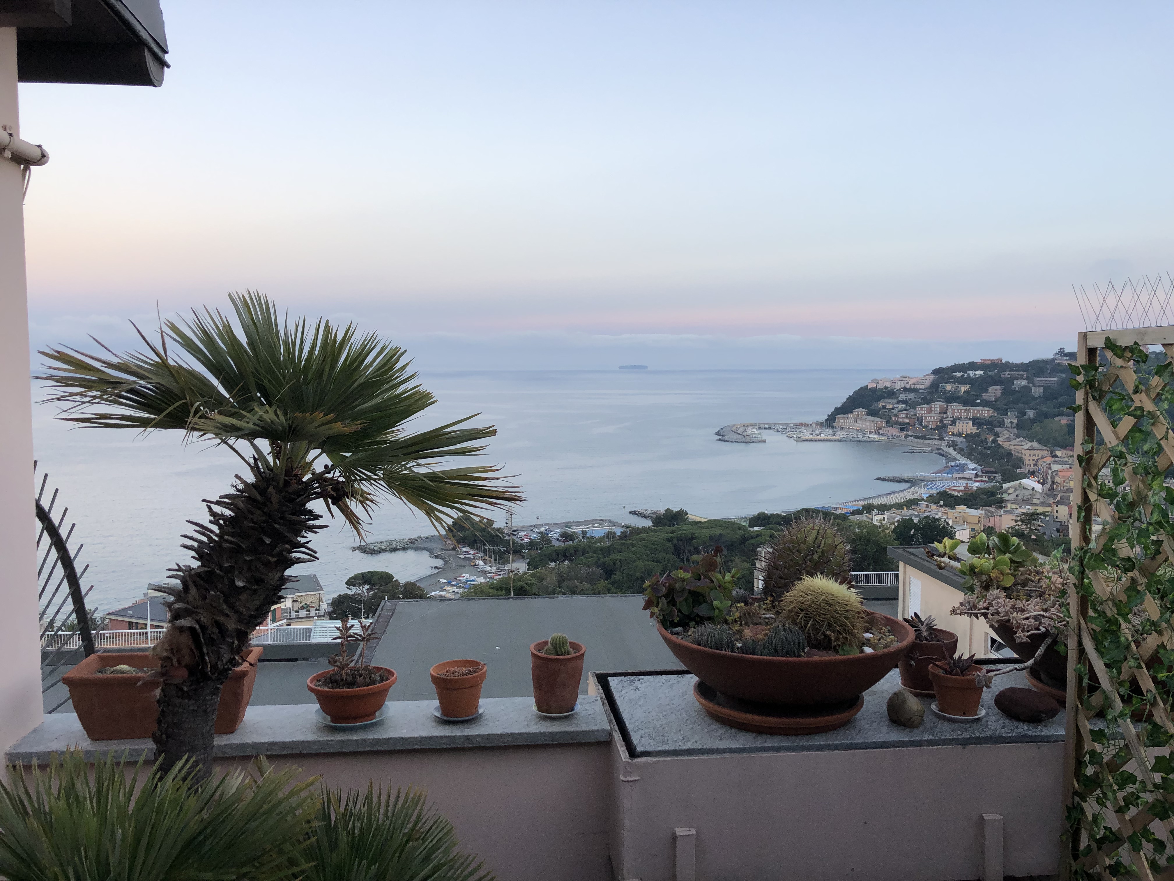 A splendid view of the Gulf of Citra 010001-LT-0020