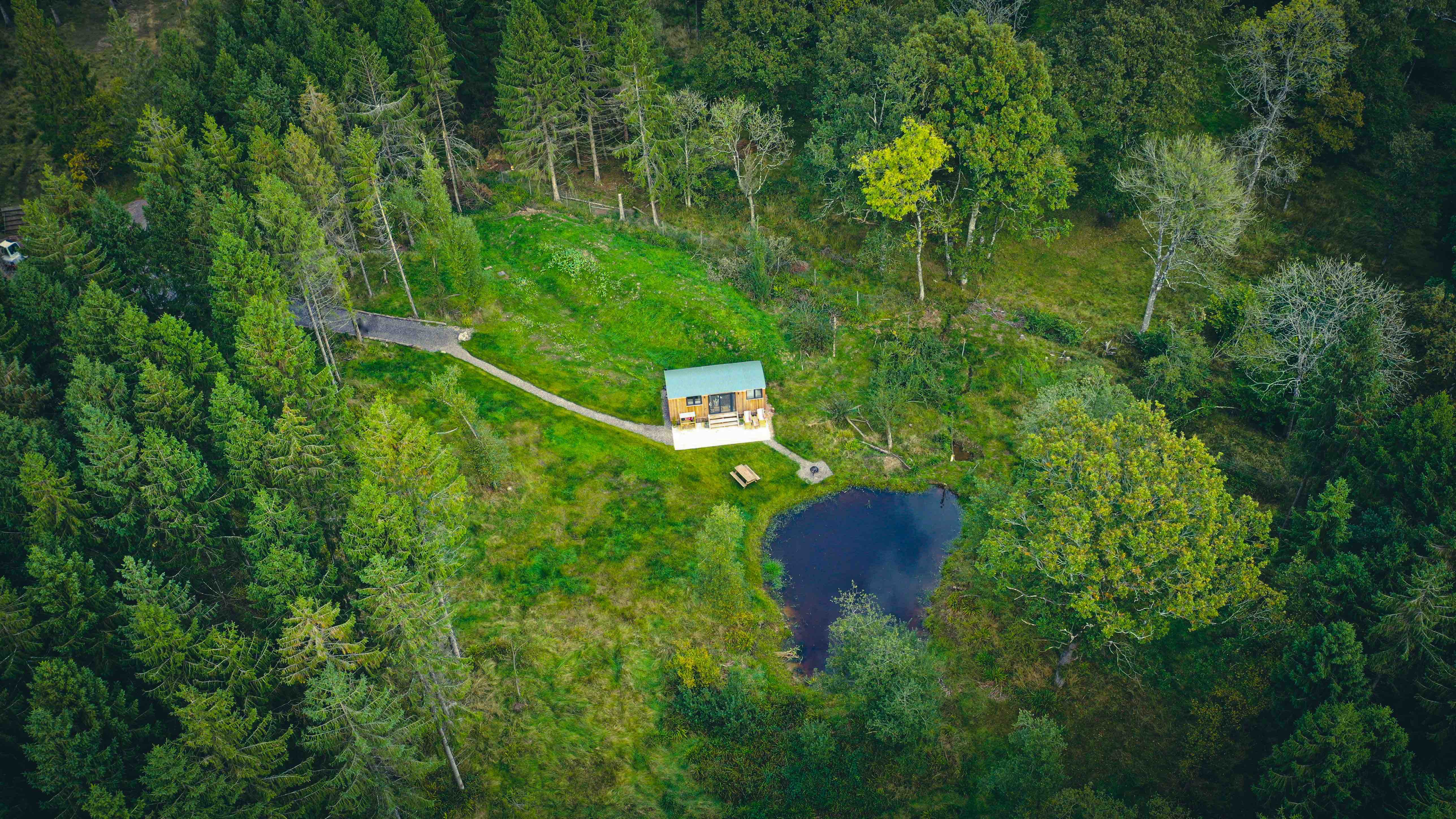 Kingfisher cabin in secluded Dorset woodland