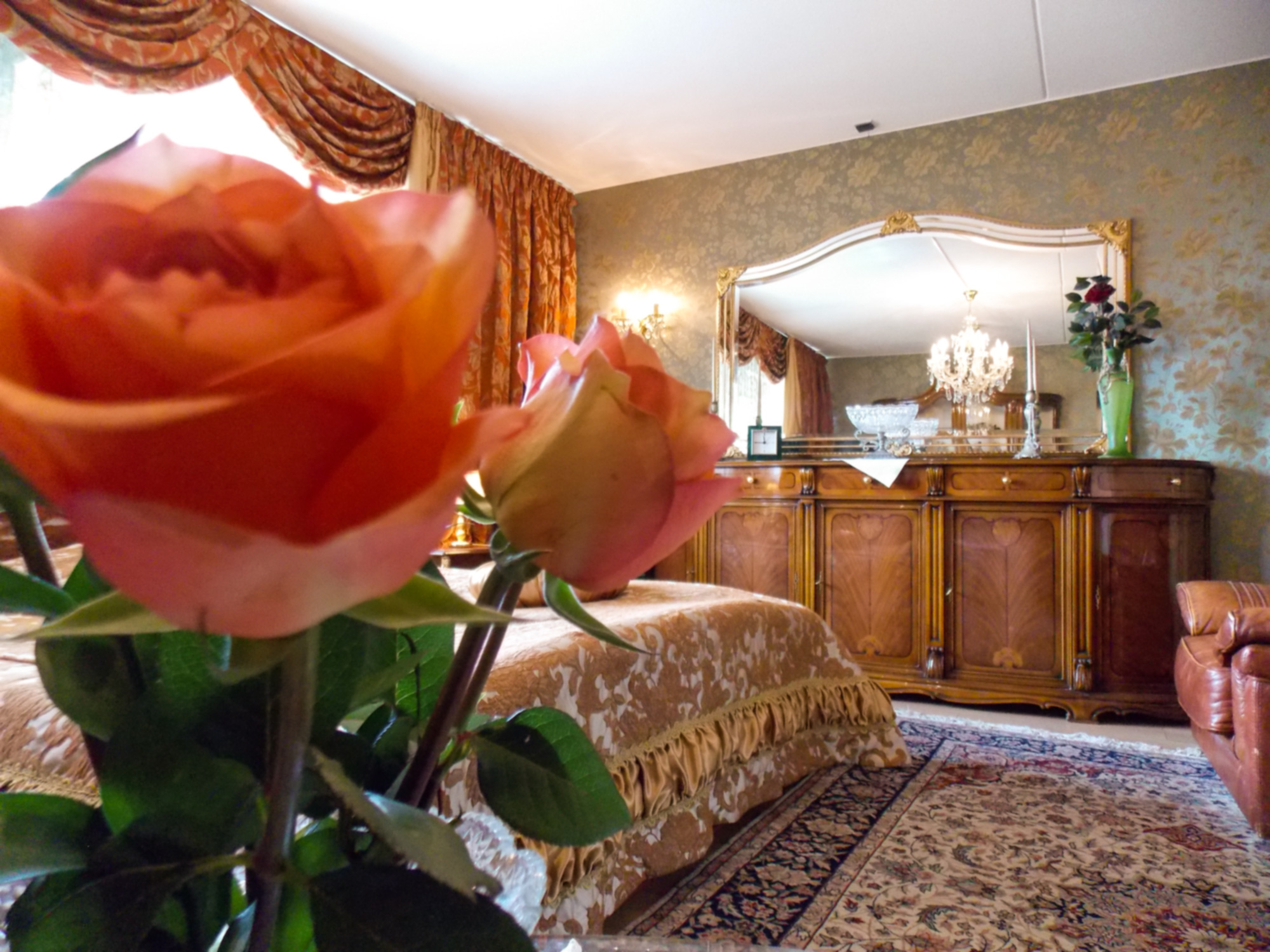 Cozy B&B Rotterdam Center 1 — Rotterdam stay