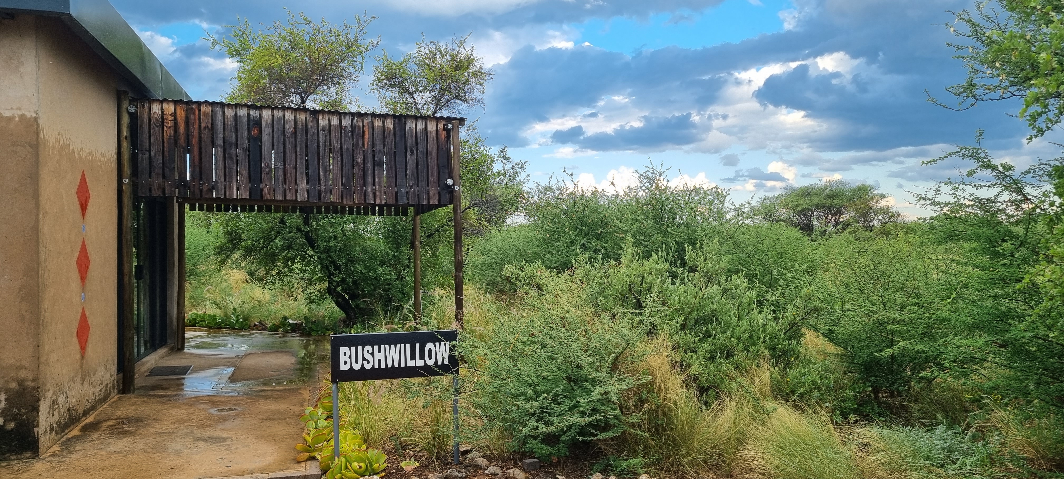 Hackberry House
Bushwillow Cottage
(Off Grid)
