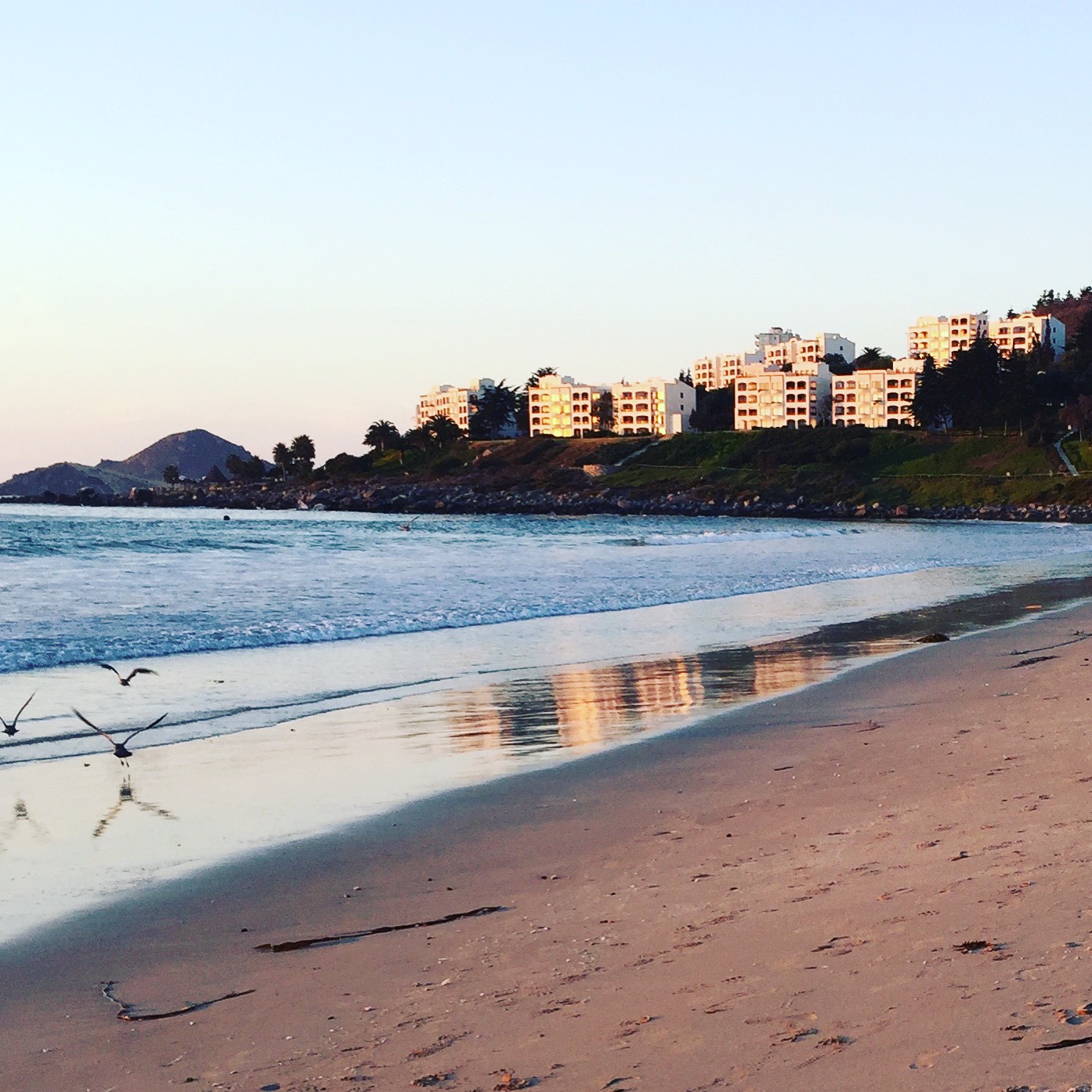 Enjoy Puerto all year round