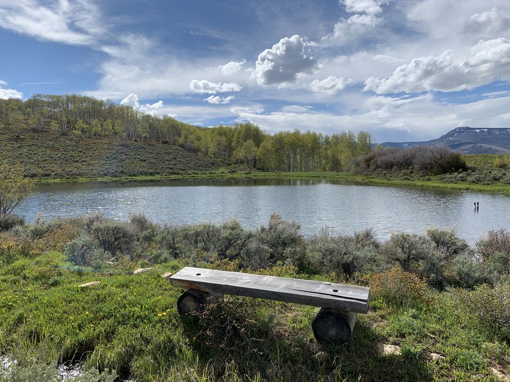 One of a Kind, Perfect Mountain Retreat Houses for Rent in Gypsum