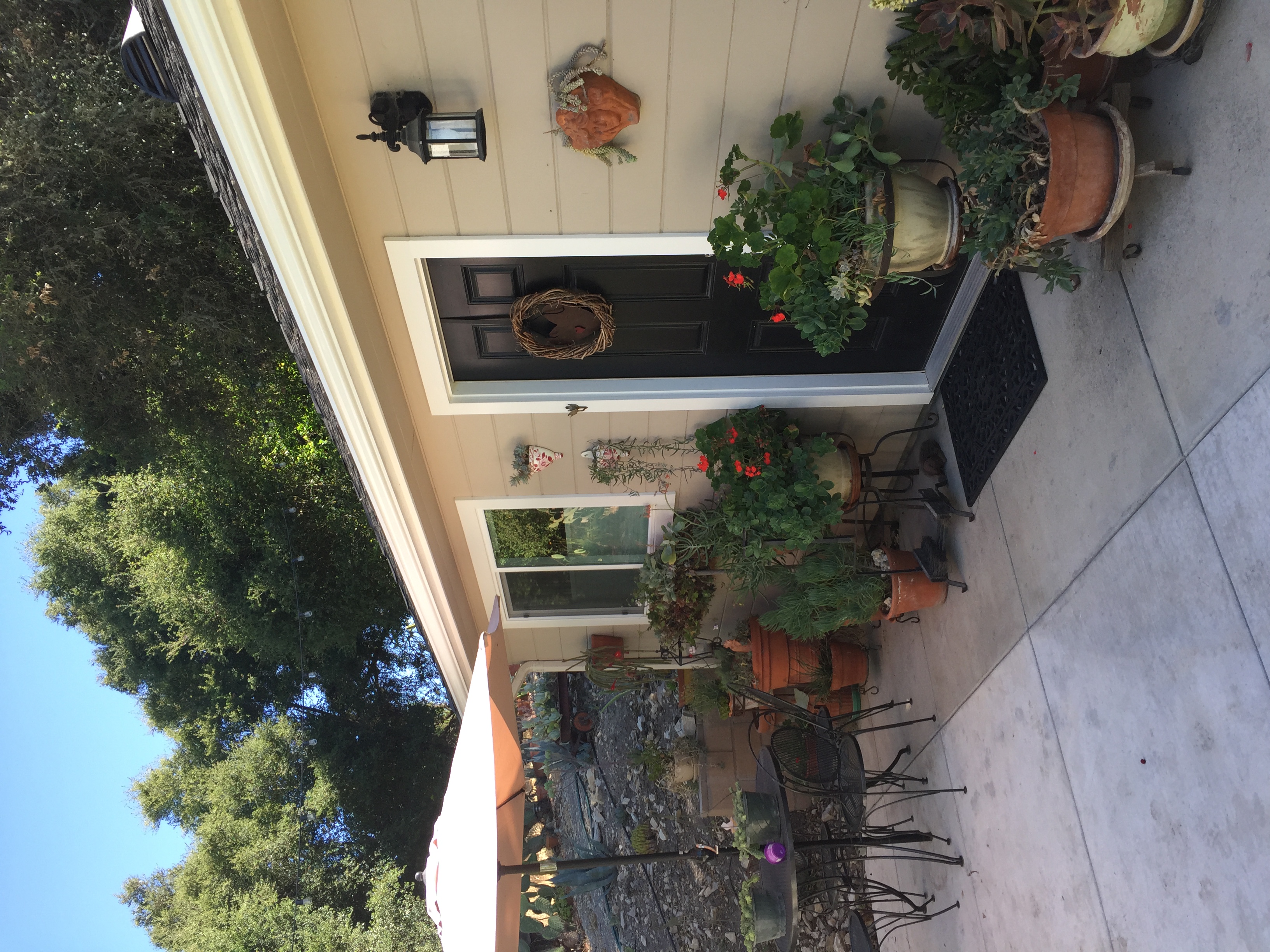 Ivy Cottage - In the center of Wine Country!