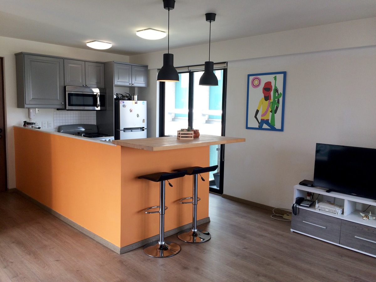 ROMA NORTE 1 BEDROOM/ 2 BATH with 24 hour guard in Cuauhtémoc, Mexico City