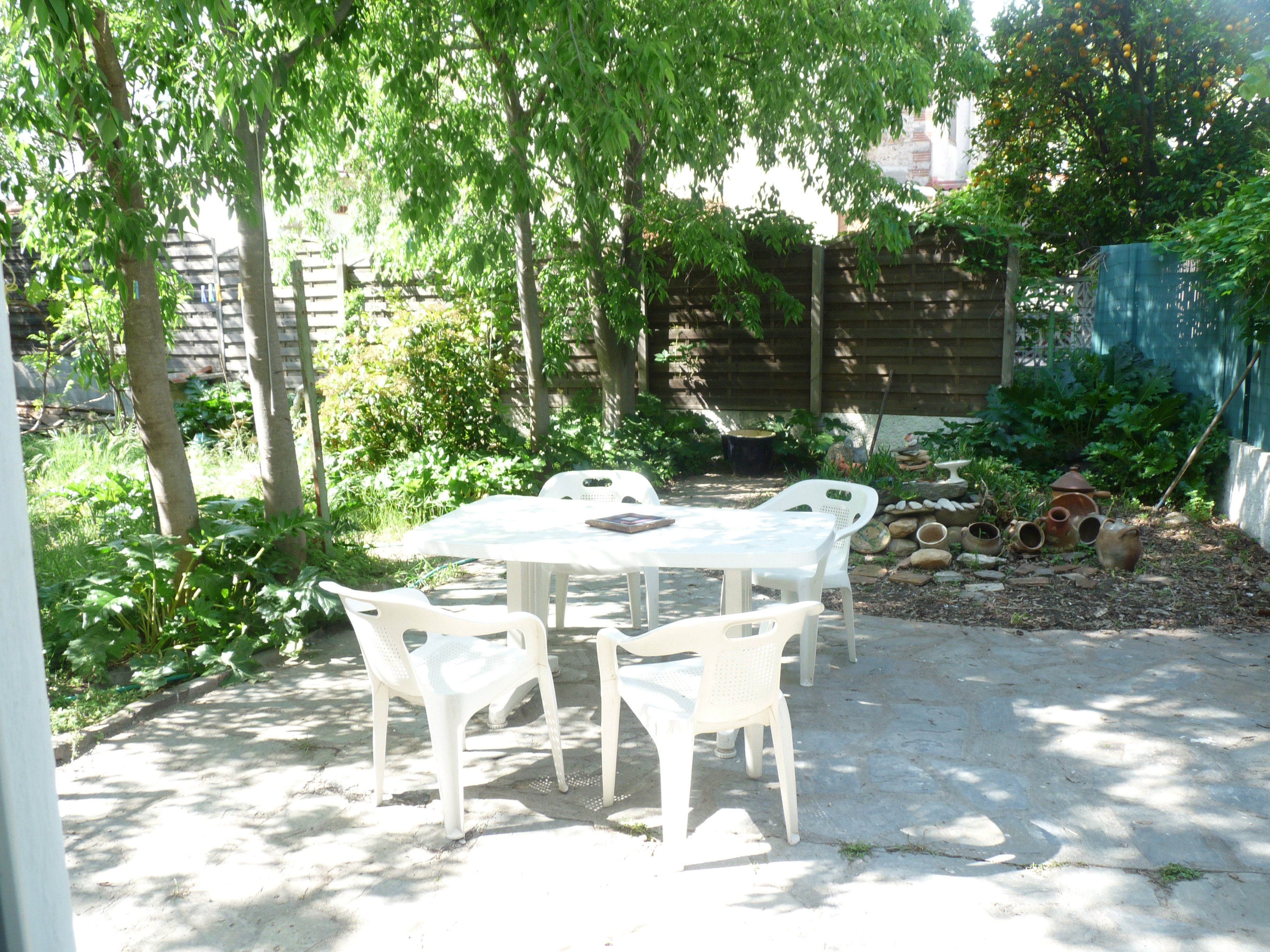 In the shade of the micocouliers