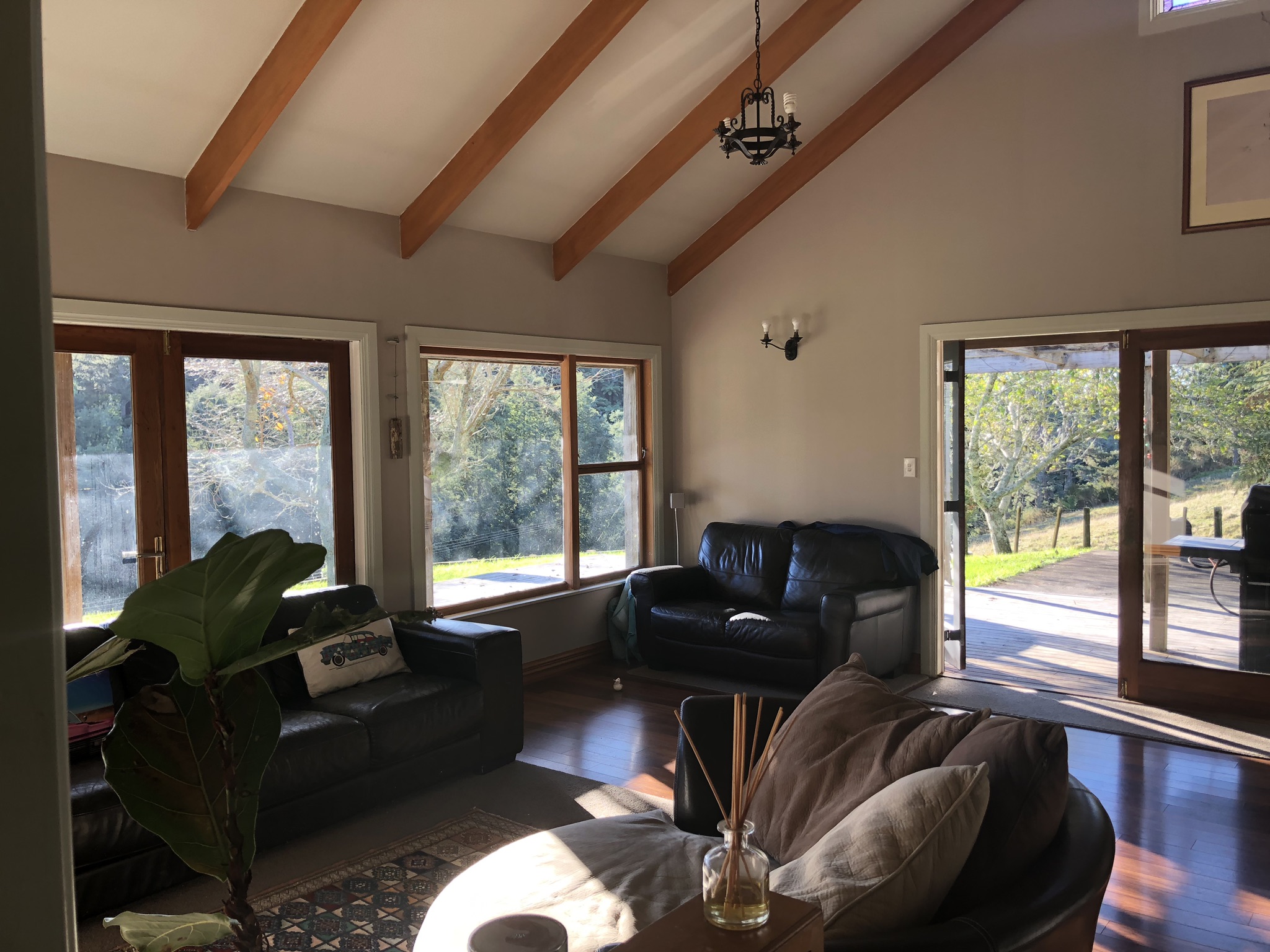 Whakamarama bliss. Enjoy peace and tranquillity Houses for Rent in