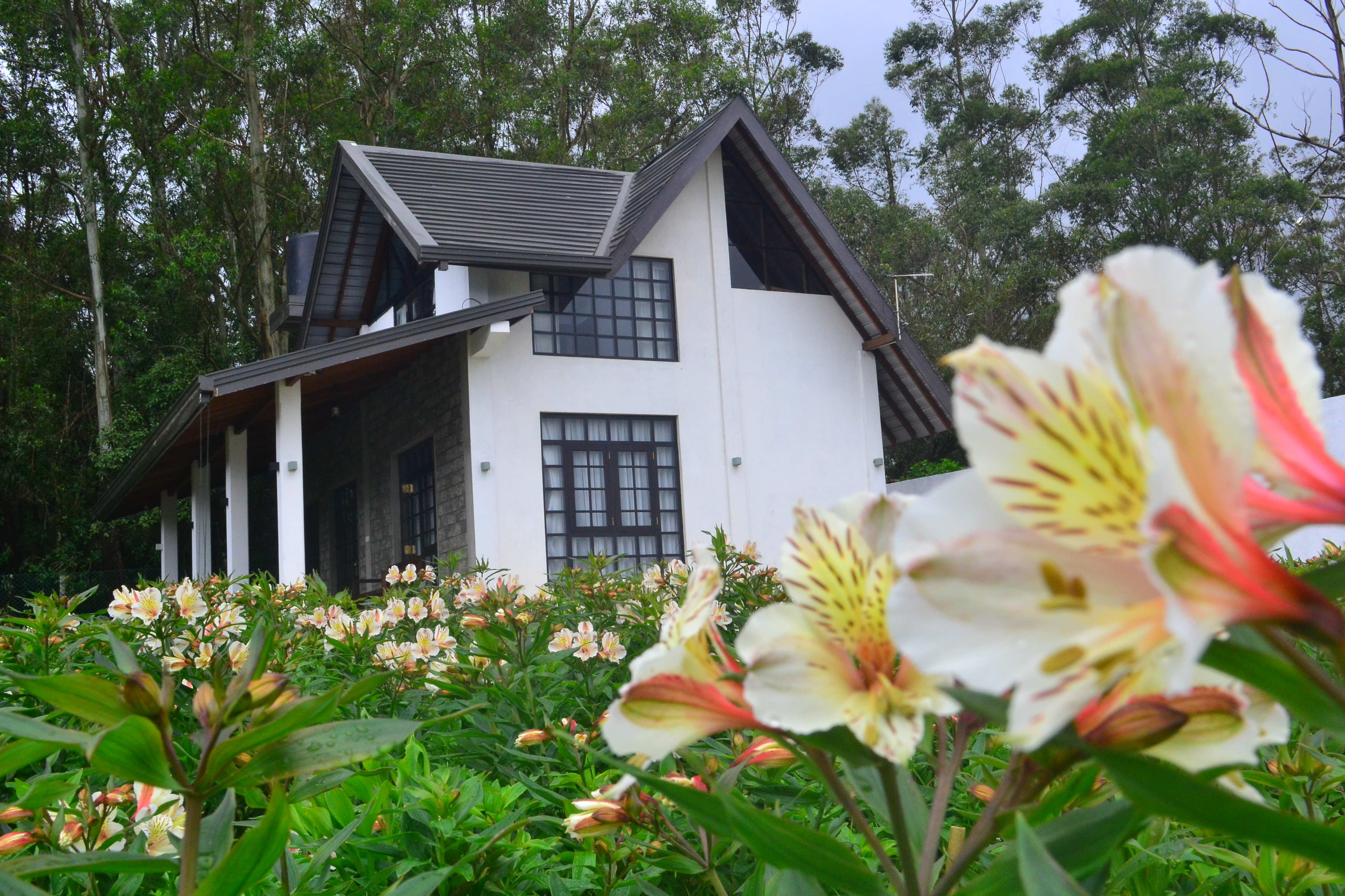 Sky Breeze Nuwara Eliya