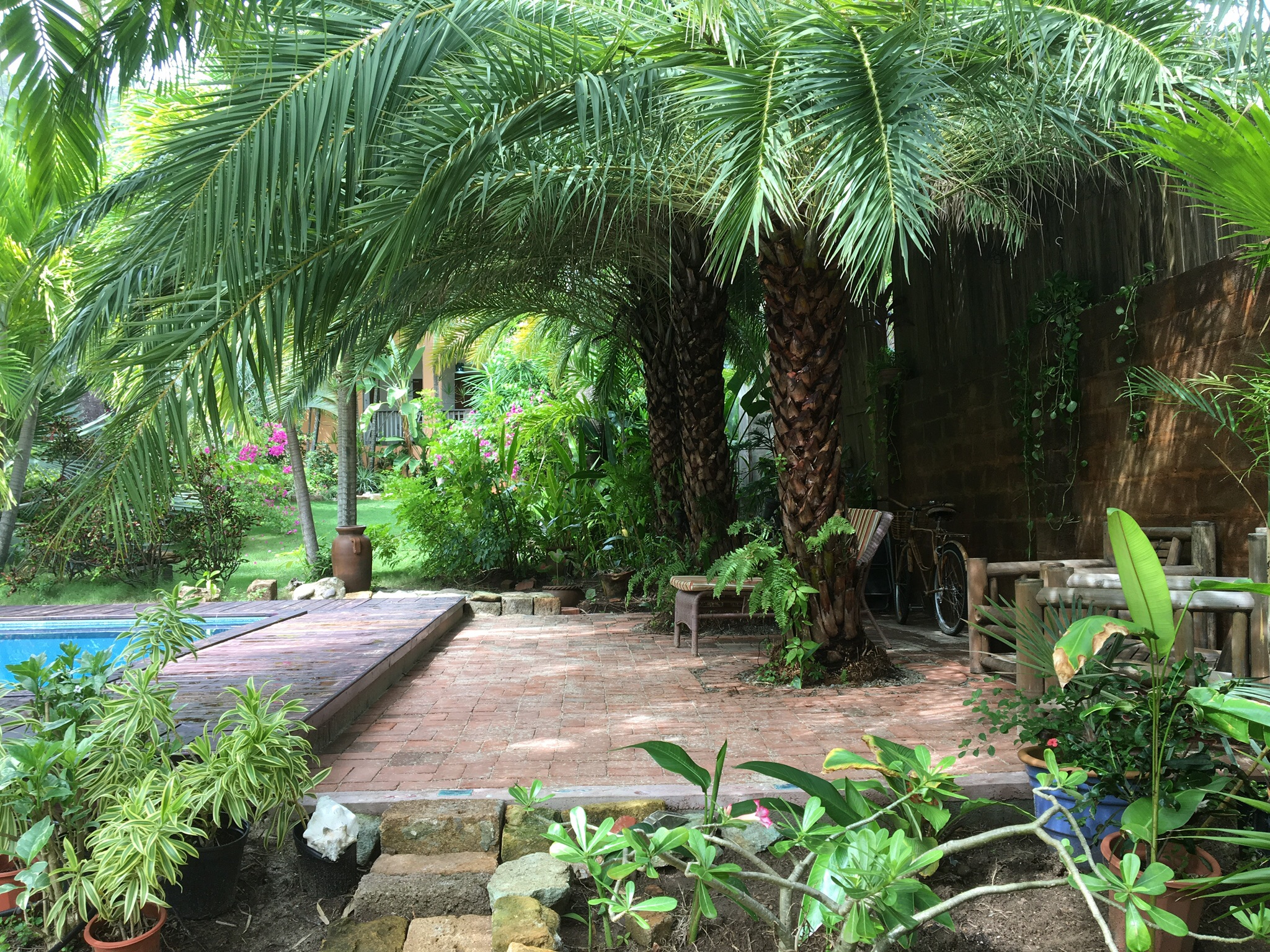 Romantic Cottage In Lush Tropical Garden Cottages For Rent In