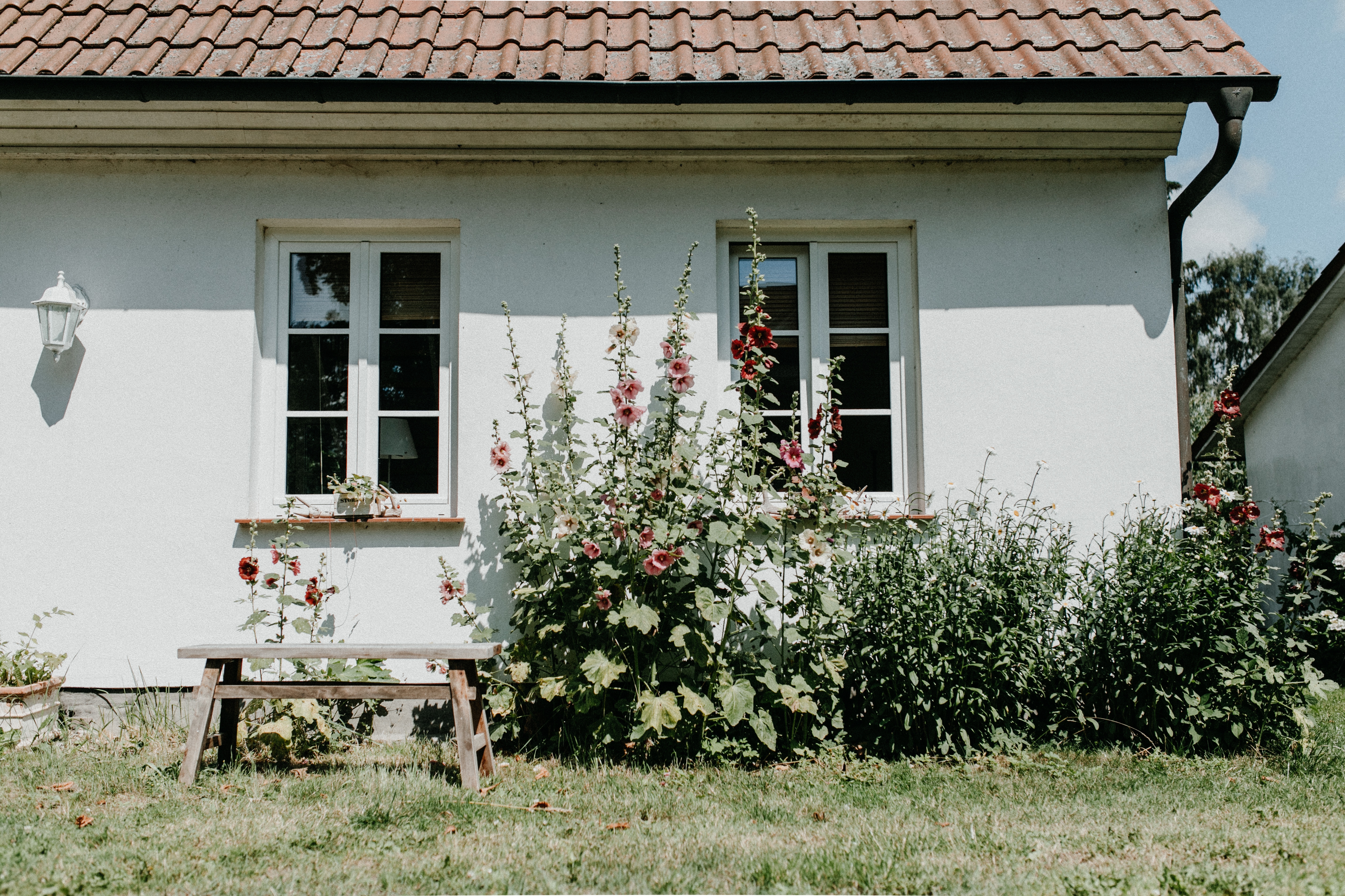 Gutshaus Krimvitz Ferienwohnung