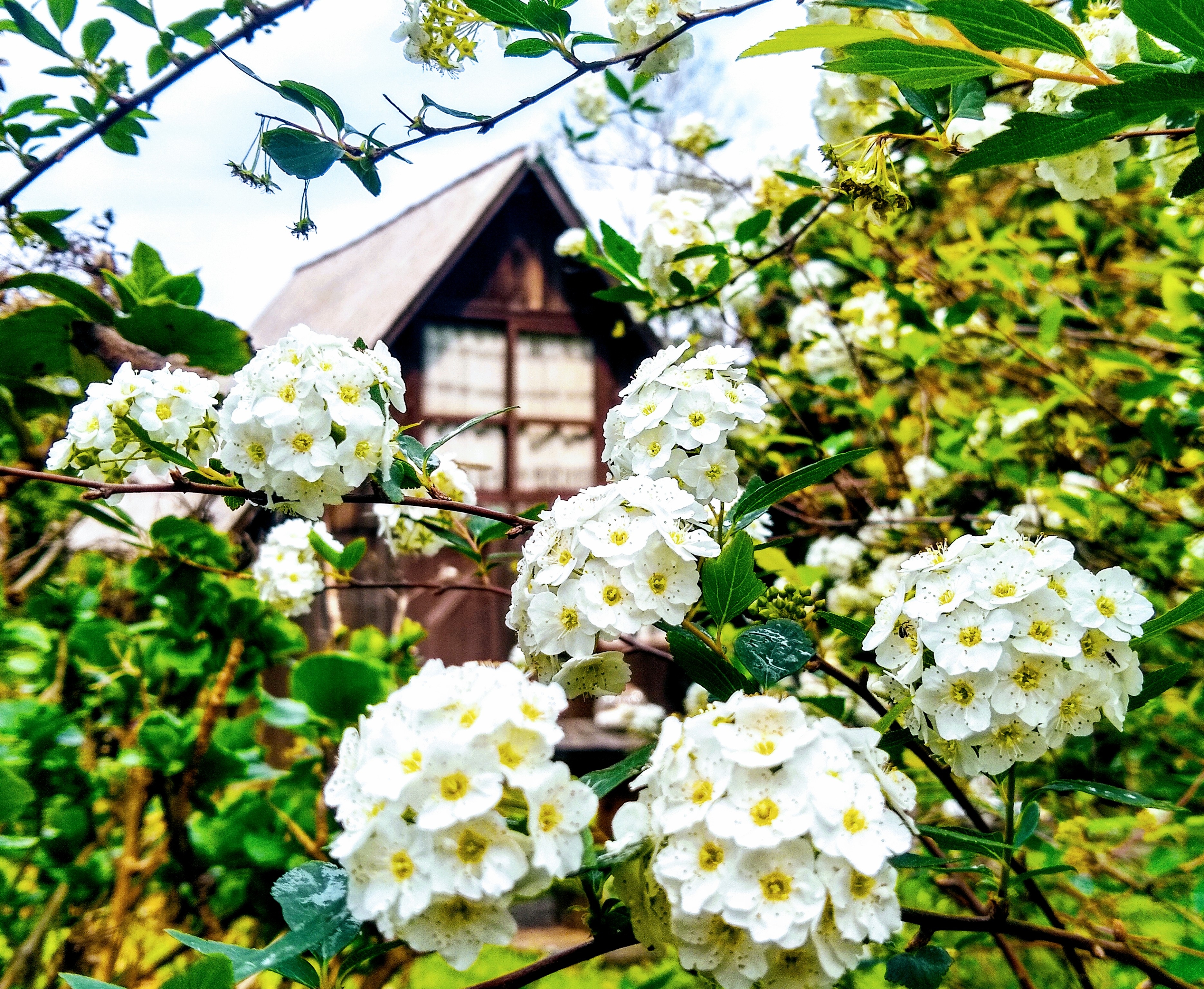 Rustic Cabin, Borussia - Osório/RS.