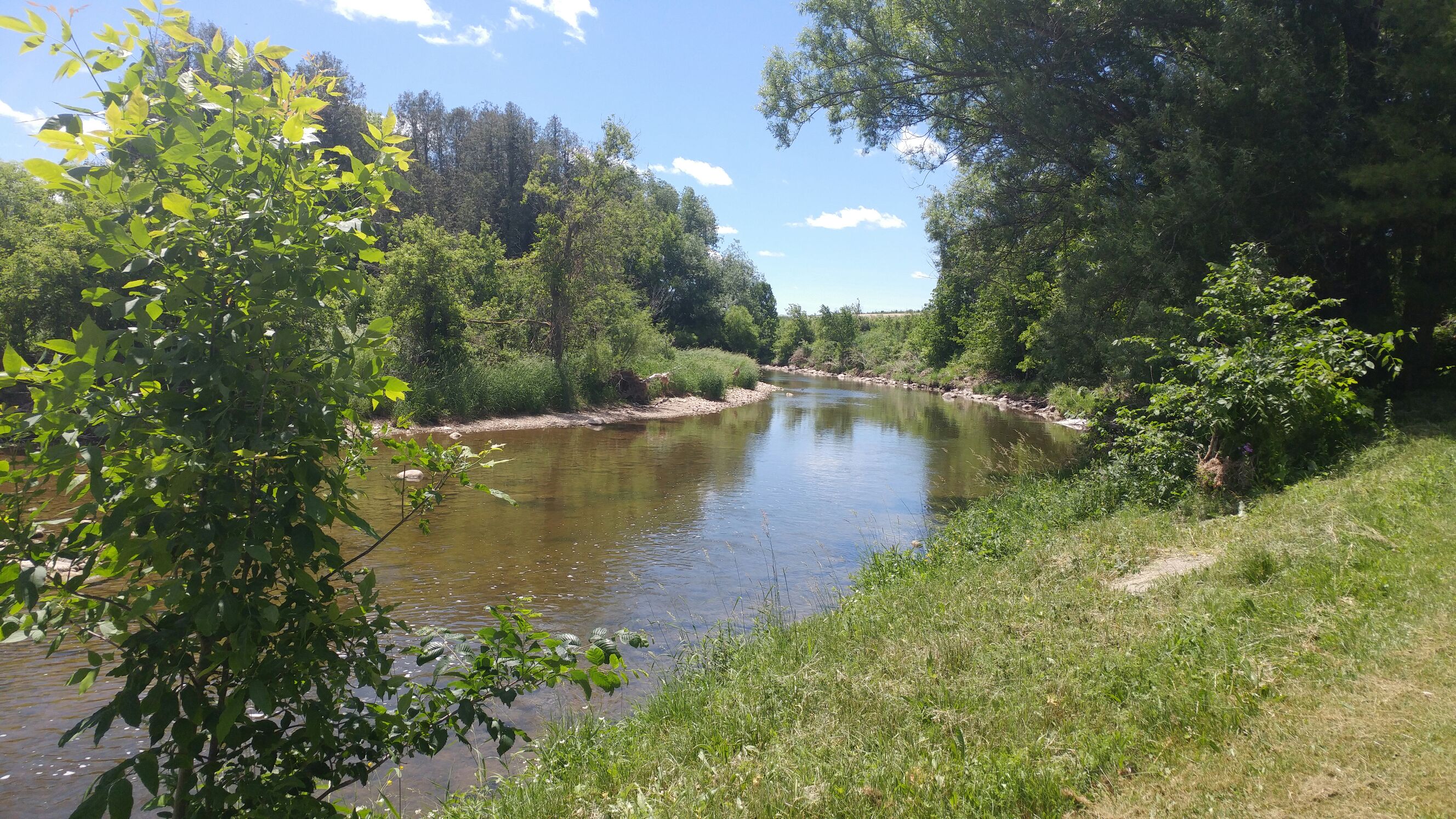 king-fishers-nest-site-2-campsites-for-rent-in-gorrie-ontario-canada
