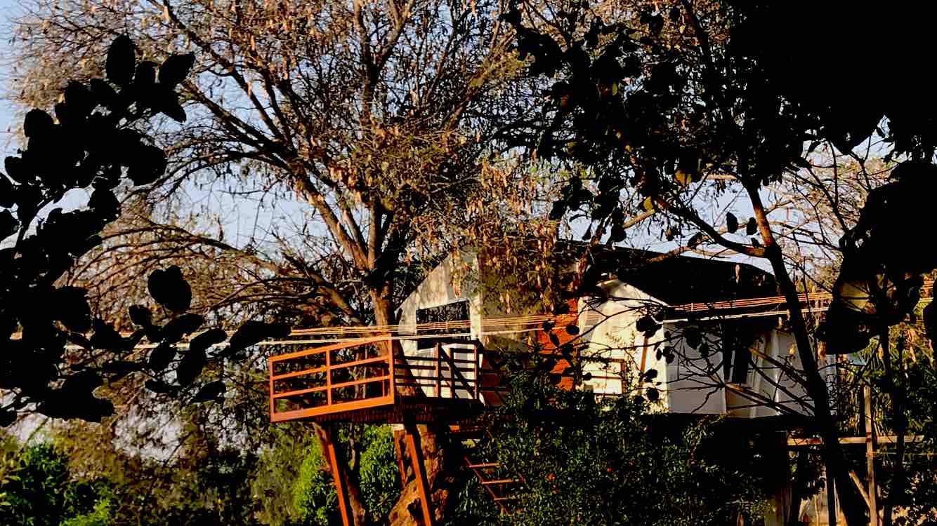 Tree House close to Bangalore Treehouses for Rent in Bengaluru, Tamil