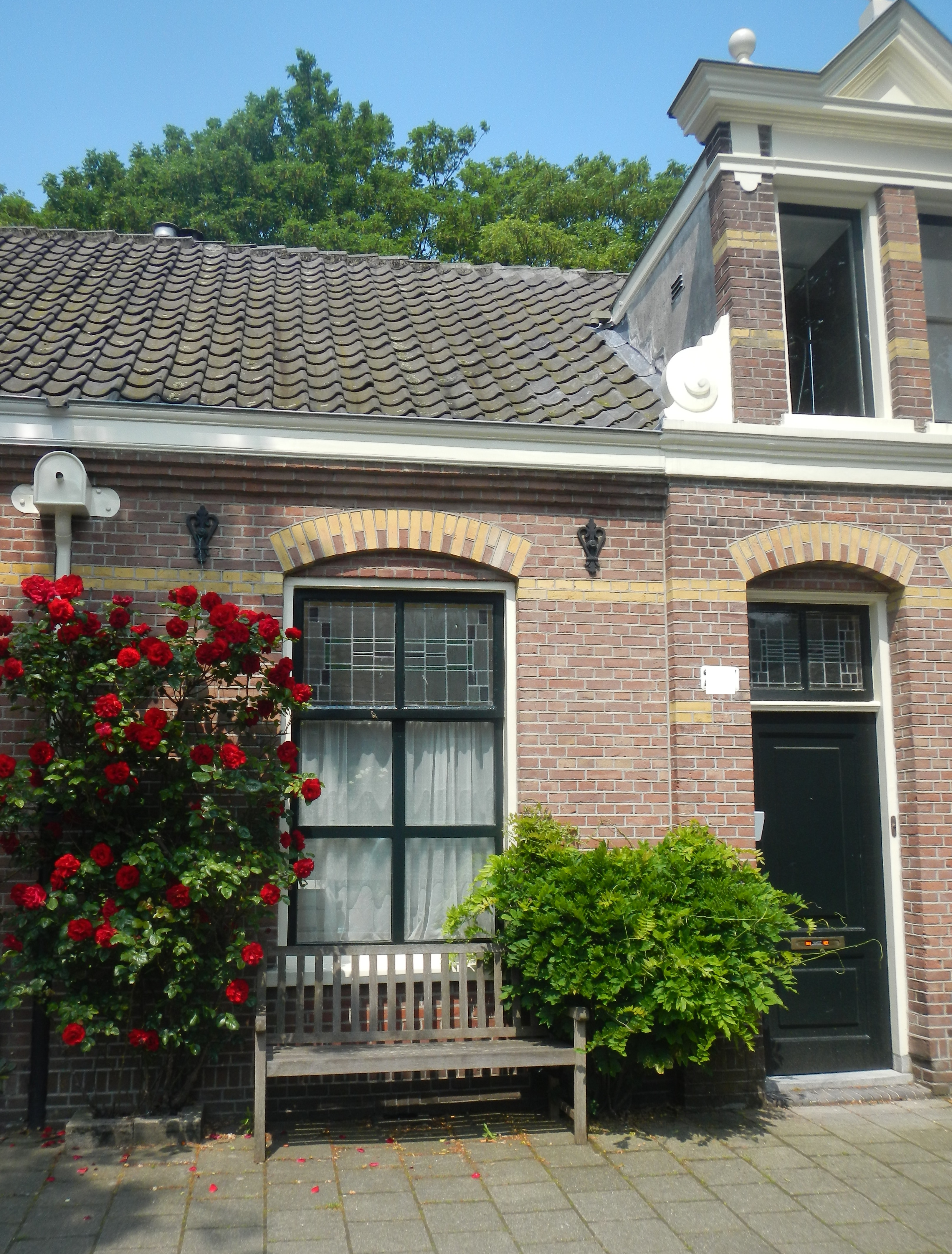 Private quiet Studio, feel at home in the Pijp. — Amsterdam stay