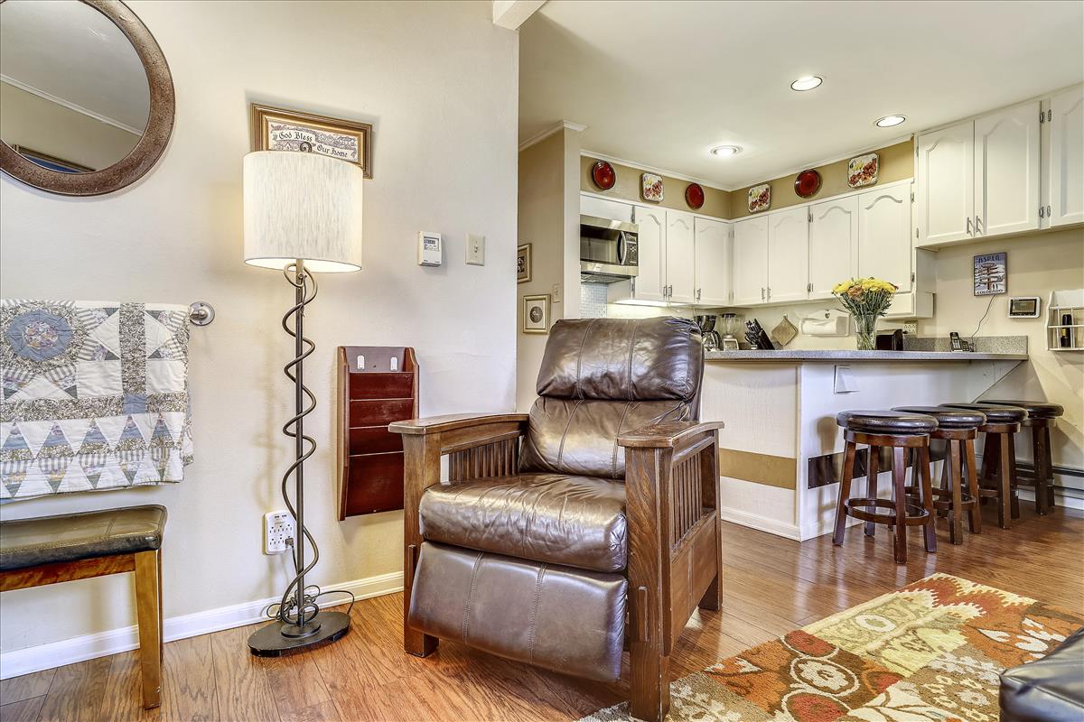 Perfectly located adorable Aspen condo in Aspen, Colorado, United States