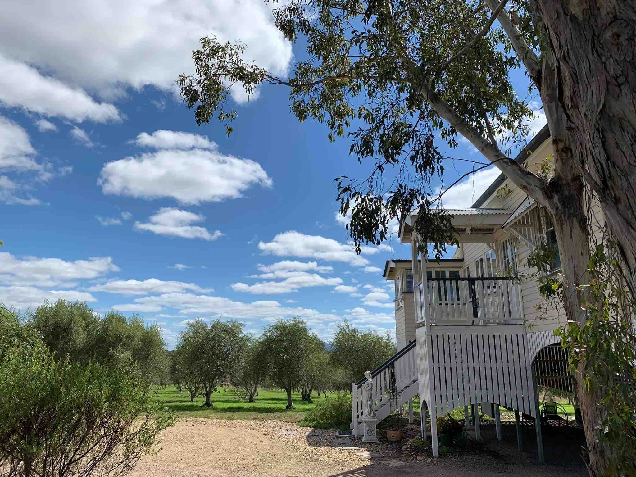 Olive View CottageScenic Boonah Historic Home 🌳🫒 Houses for Rent in