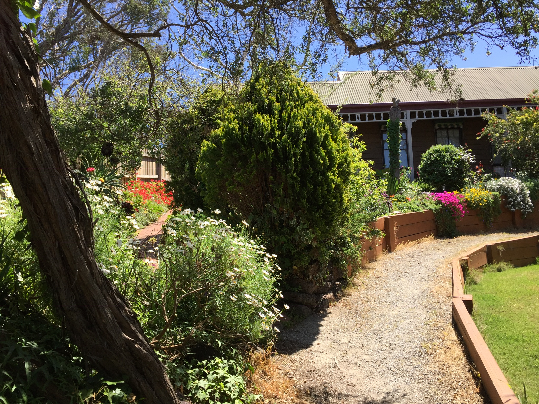 Pixies in Rye - HotSprings 2 mins.(Pets welcome) in Point Nepean, Mornington Peninsula