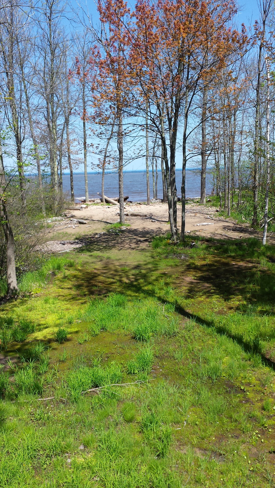 Driftwood Shores Cottage Cabins for Rent in Ontonagon, Michigan