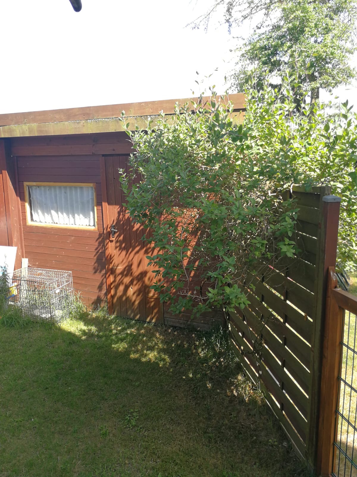 Gemutliche Familienfreundliche Wohnung Mit Garten Apartments For Rent In Rostock Mecklenburg Vorpommern Germany