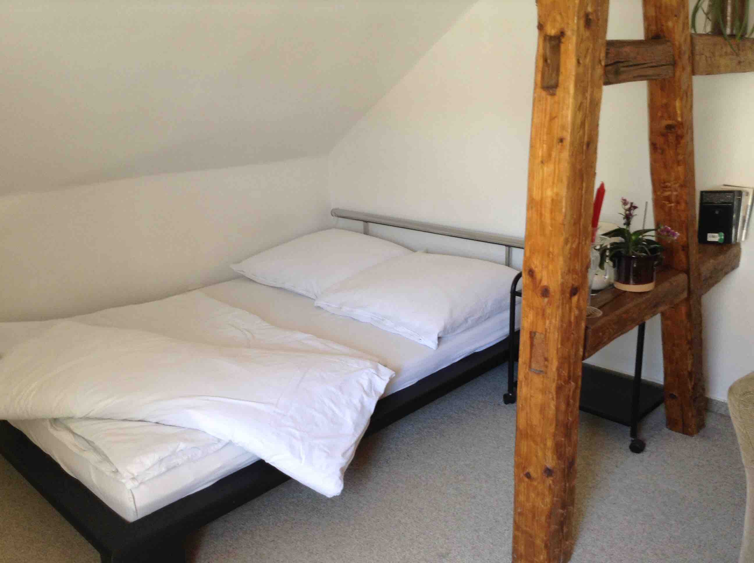 Apartment in the city center