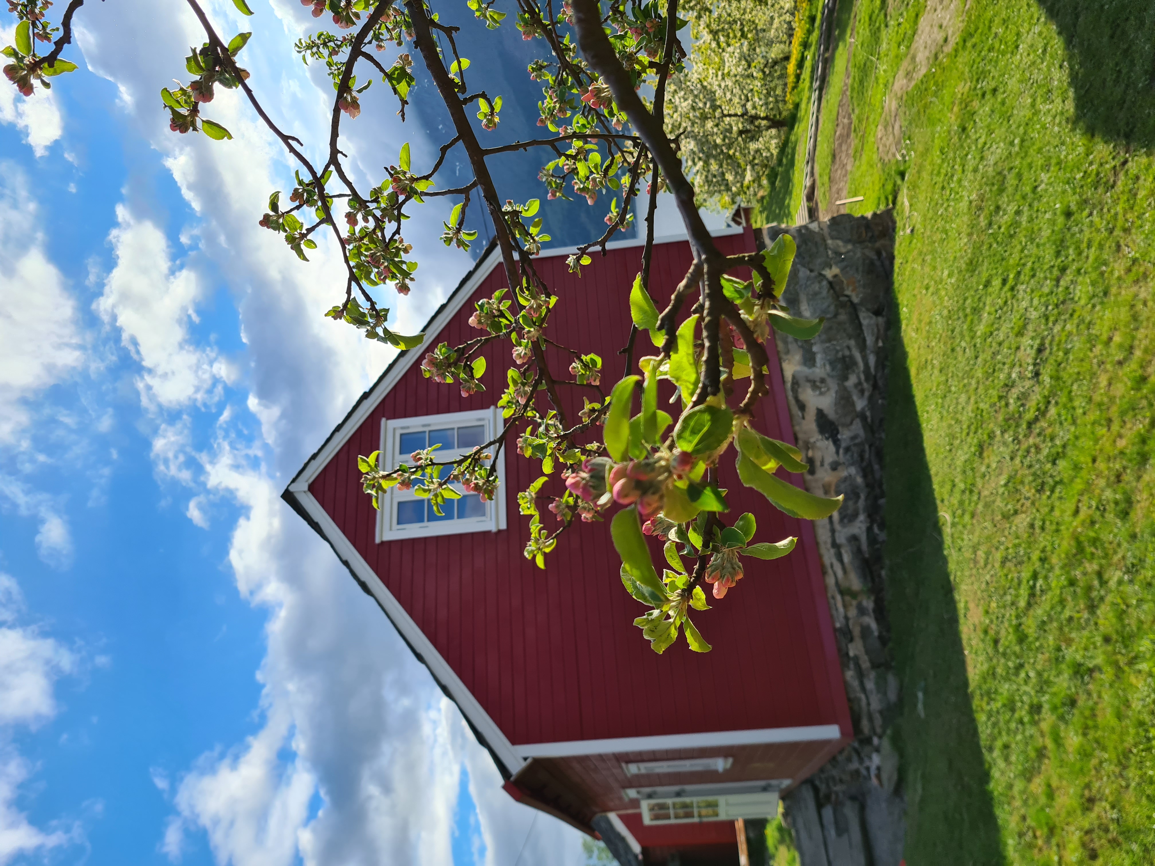 Holiday home near Dronningstien
