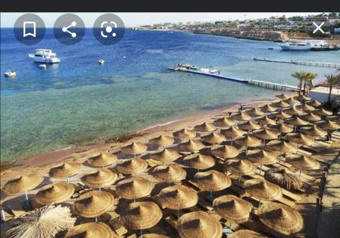 Enjoy enjoy Christmas vacation at sharm el sheik Apartments for Rent