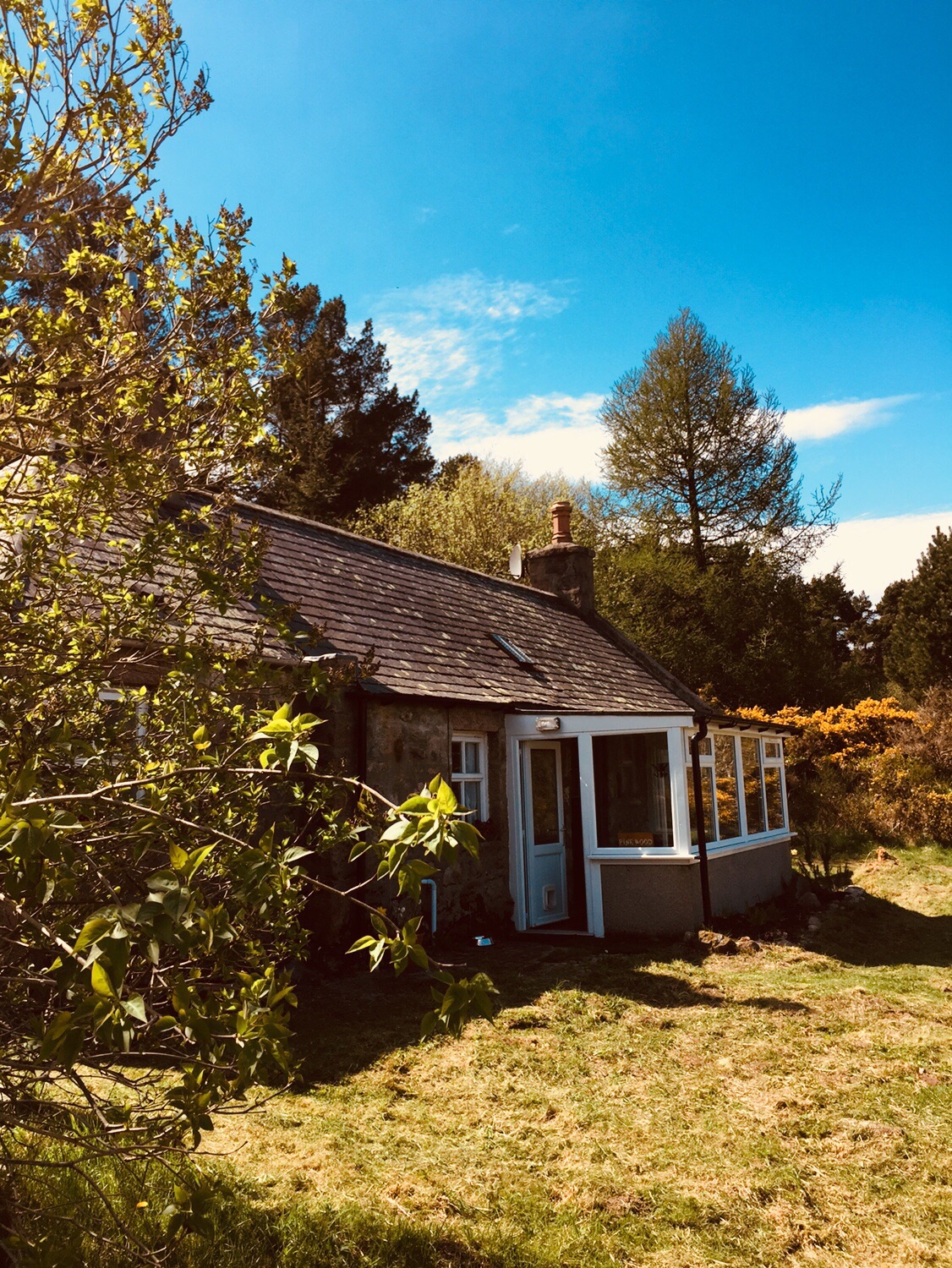 Pinewood cottage Cottages for Rent in Aberdeenshire, Scotland, United