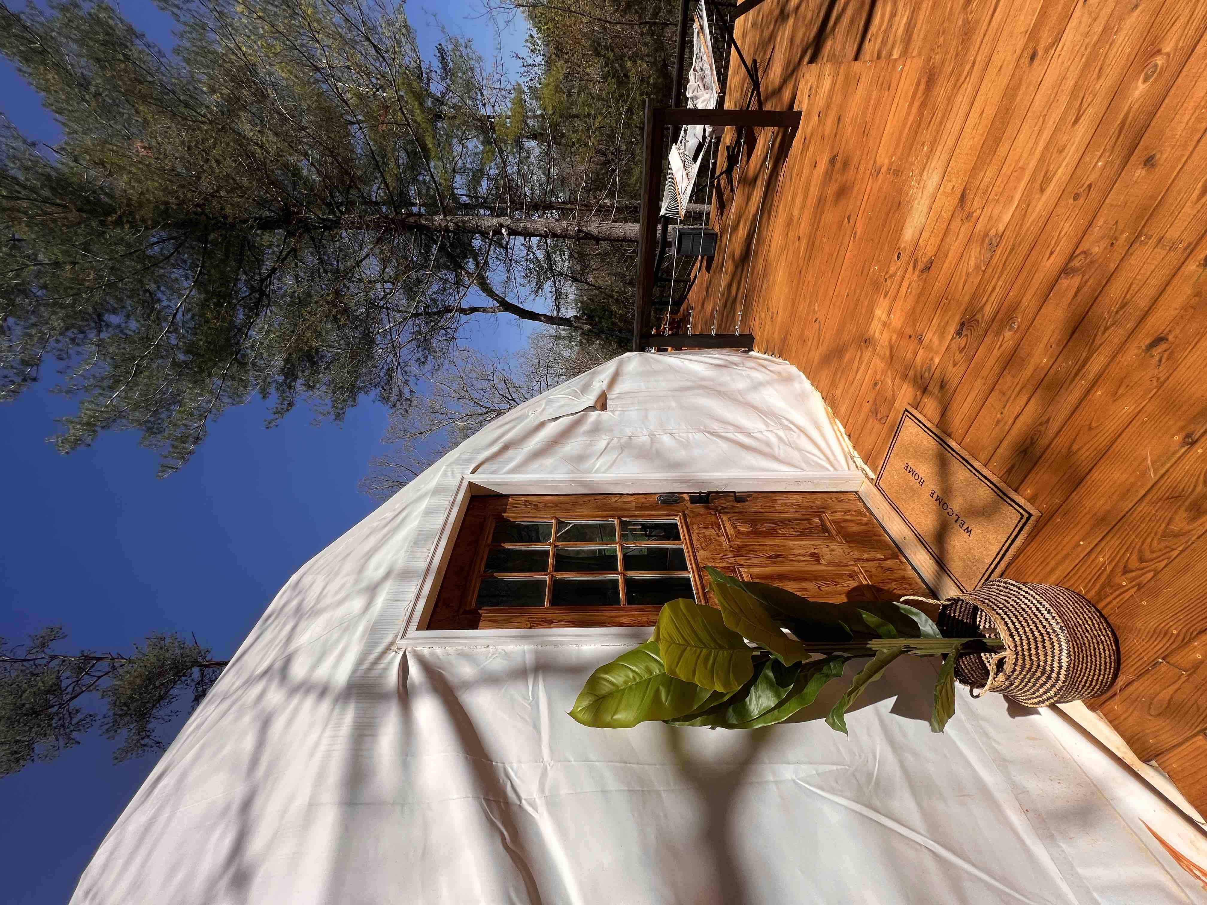 Glamping Geodesic Dome with Large Movie Theater Deck Hottub in Wooded  Mountains, Mineral Bluff, GA, Production