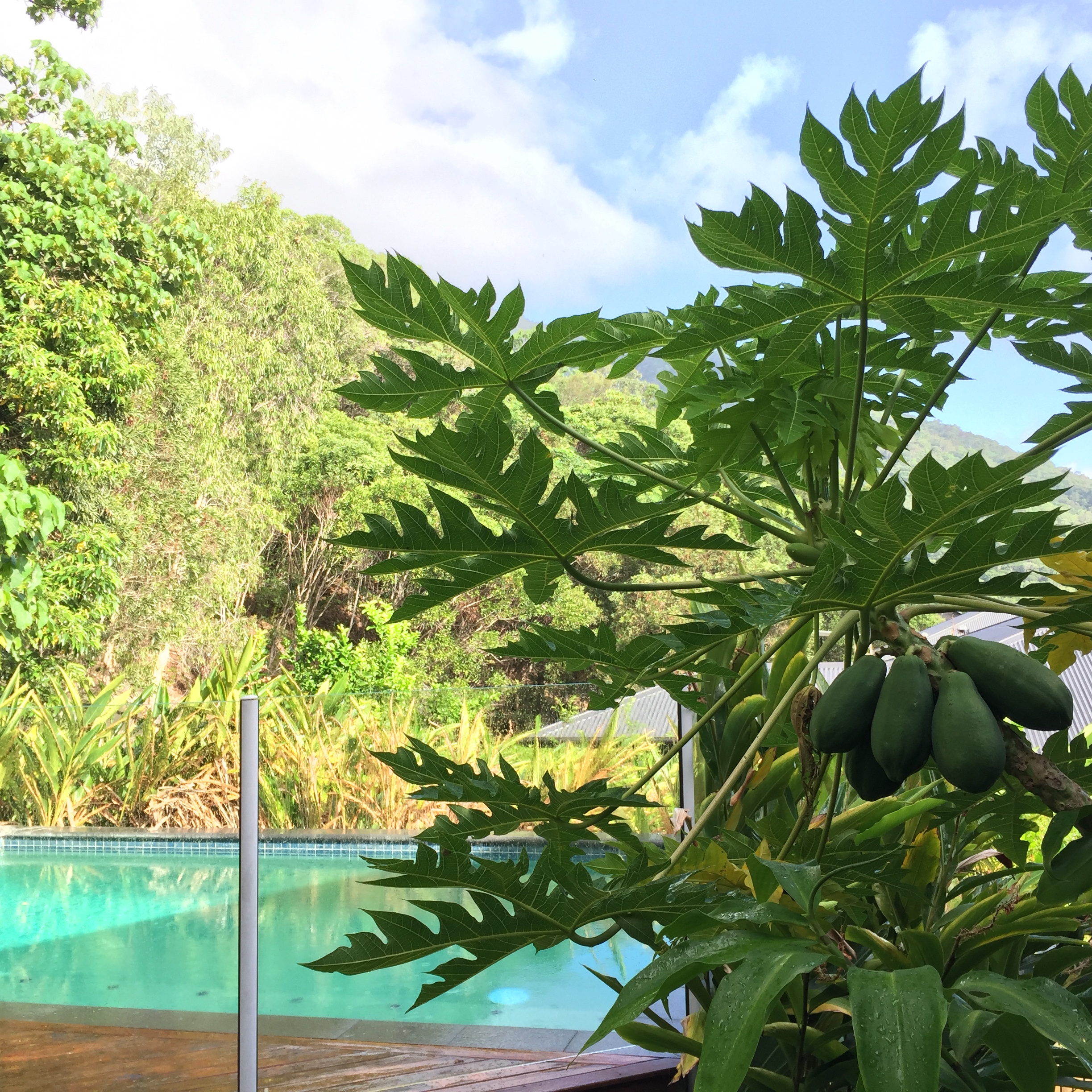 Bedrock Relax And Recharge Houses For Rent In Palm Cove Queensland Australia