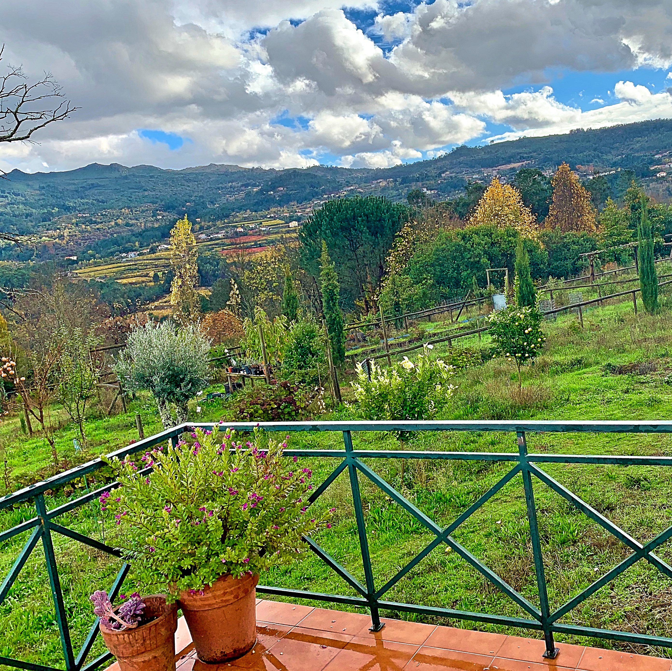 Amarante Country House