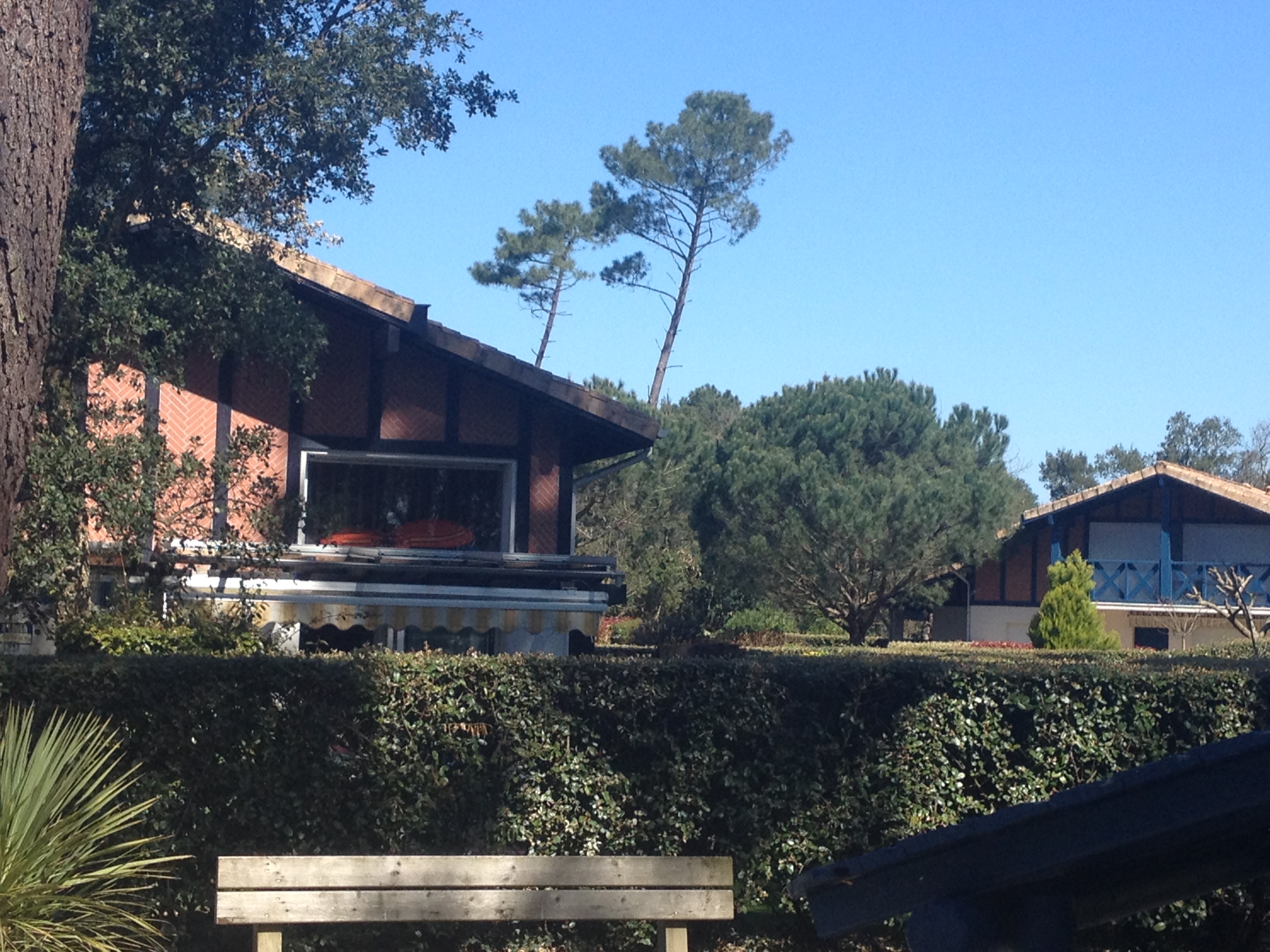 apartment under the pines