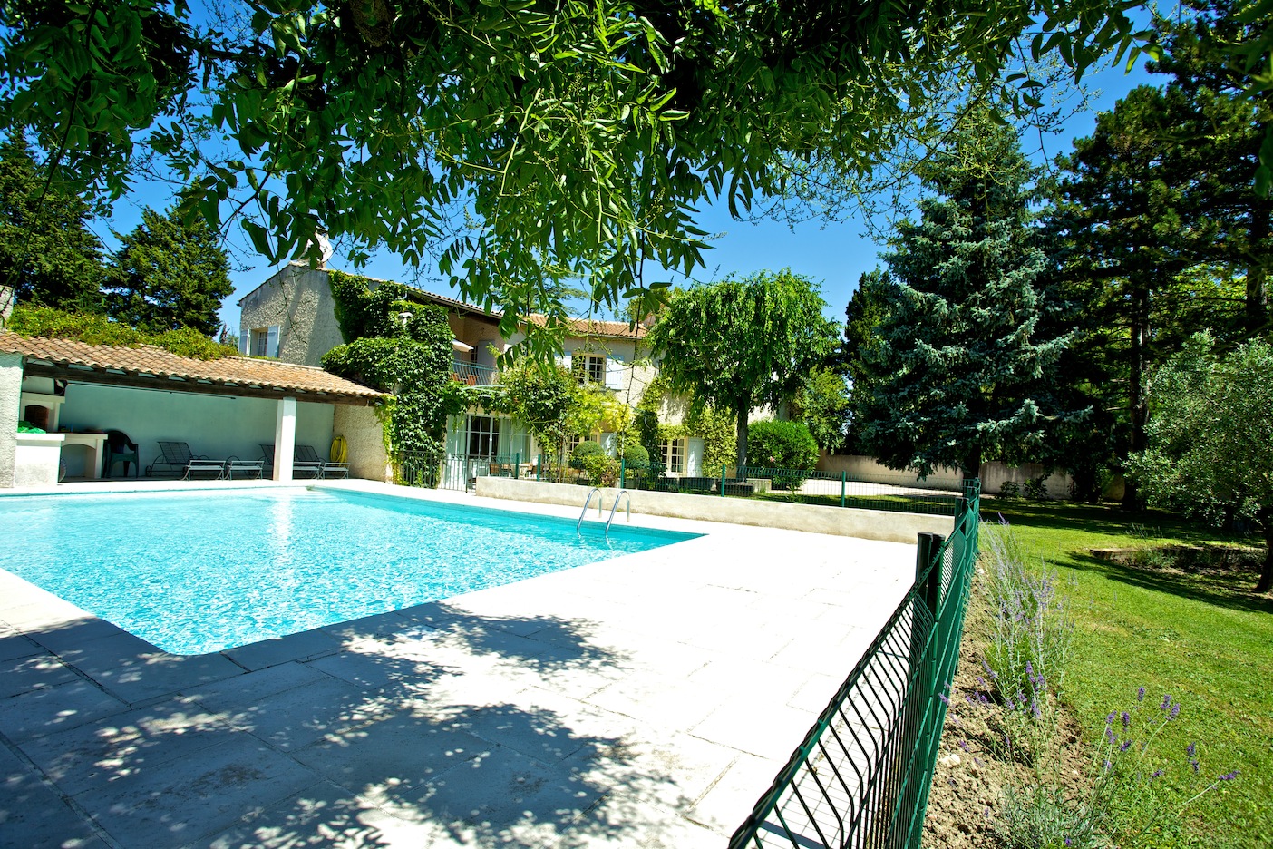 The Willow Tree Apartment