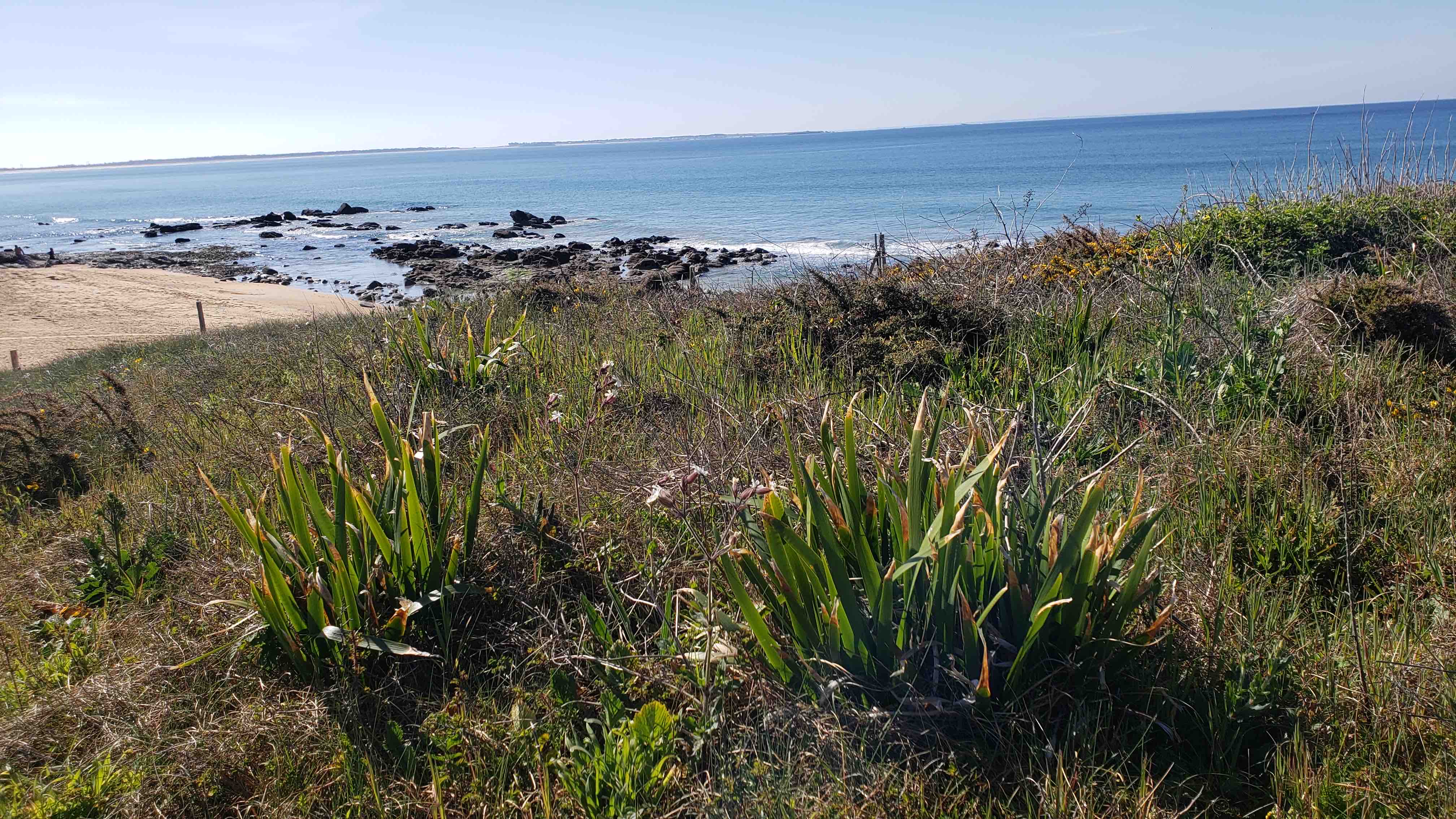 Maisonette 15 mm on foot from the beach - KERHILLIO